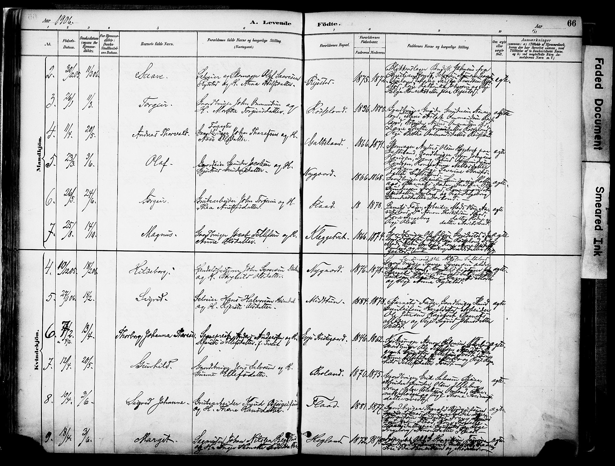 Evje sokneprestkontor, AV/SAK-1111-0008/F/Fa/Faa/L0007: Ministerialbok nr. A 7, 1884-1909, s. 66