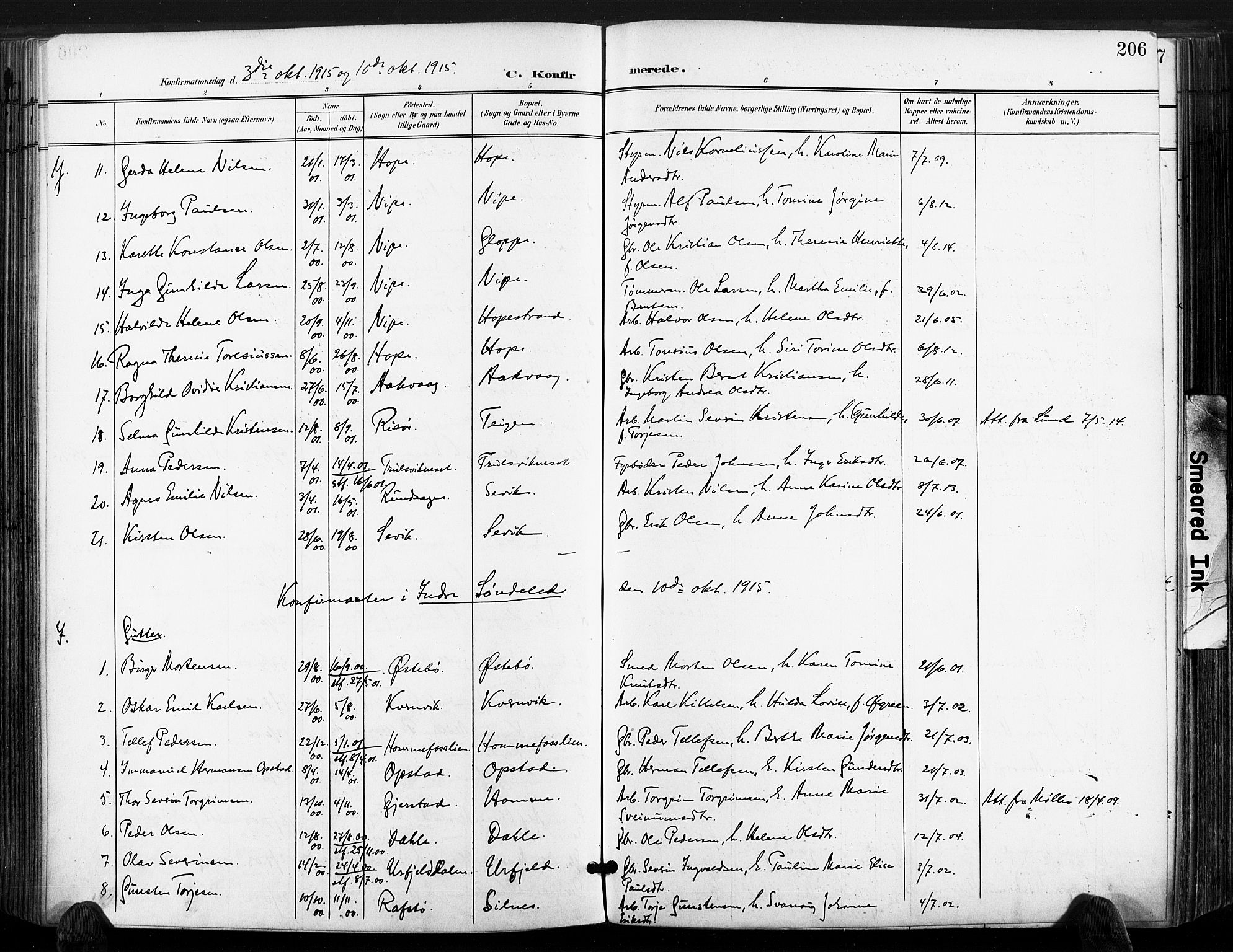 Søndeled sokneprestkontor, AV/SAK-1111-0038/F/Fa/L0006: Ministerialbok nr. A 6, 1900-1922, s. 207