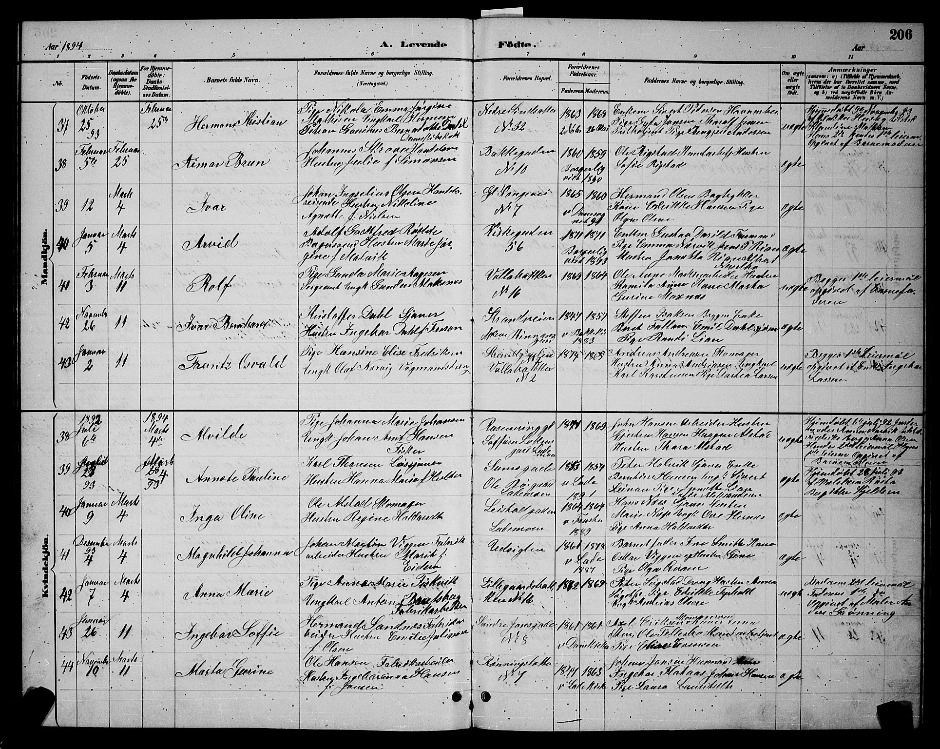 Ministerialprotokoller, klokkerbøker og fødselsregistre - Sør-Trøndelag, SAT/A-1456/604/L0222: Klokkerbok nr. 604C05, 1886-1895, s. 206