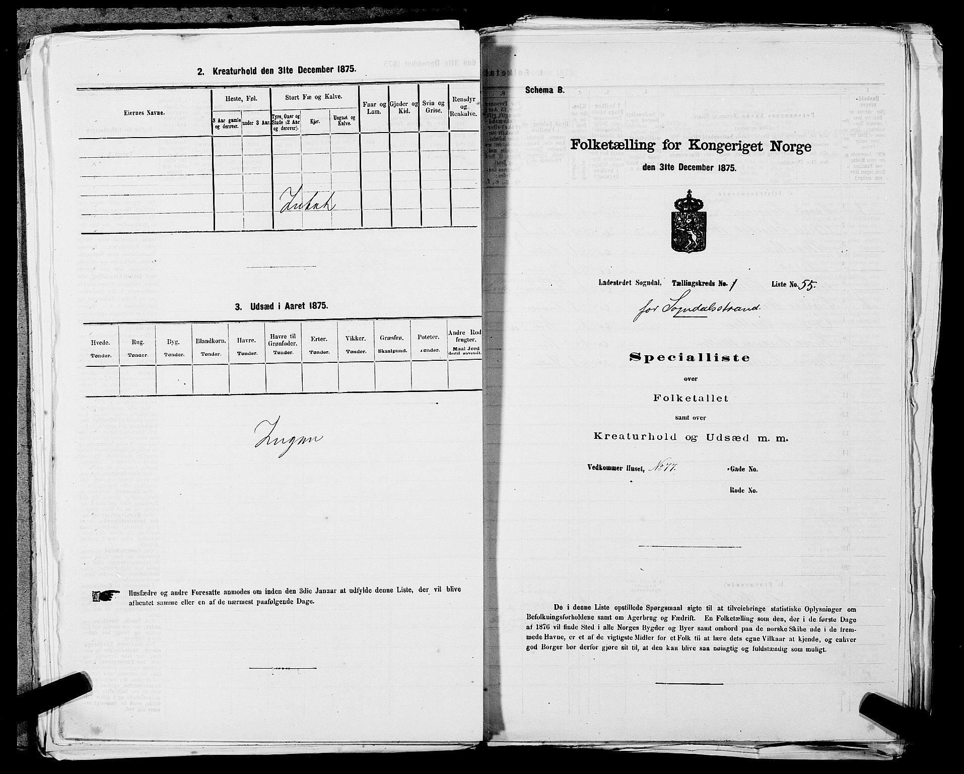 SAST, Folketelling 1875 for 1107B Sokndal prestegjeld, Sokndal ladested, 1875, s. 113