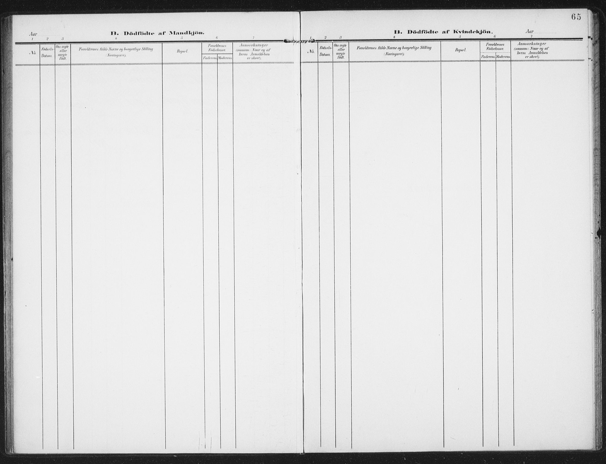 Berg sokneprestkontor, SATØ/S-1318/G/Ga/Gaa/L0008kirke: Ministerialbok nr. 8, 1904-1916, s. 65