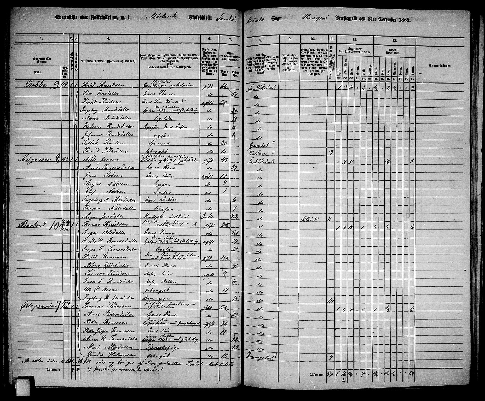 RA, Folketelling 1865 for 0816L Kragerø prestegjeld, Sannidal sokn og Skåtøy sokn, 1865, s. 73