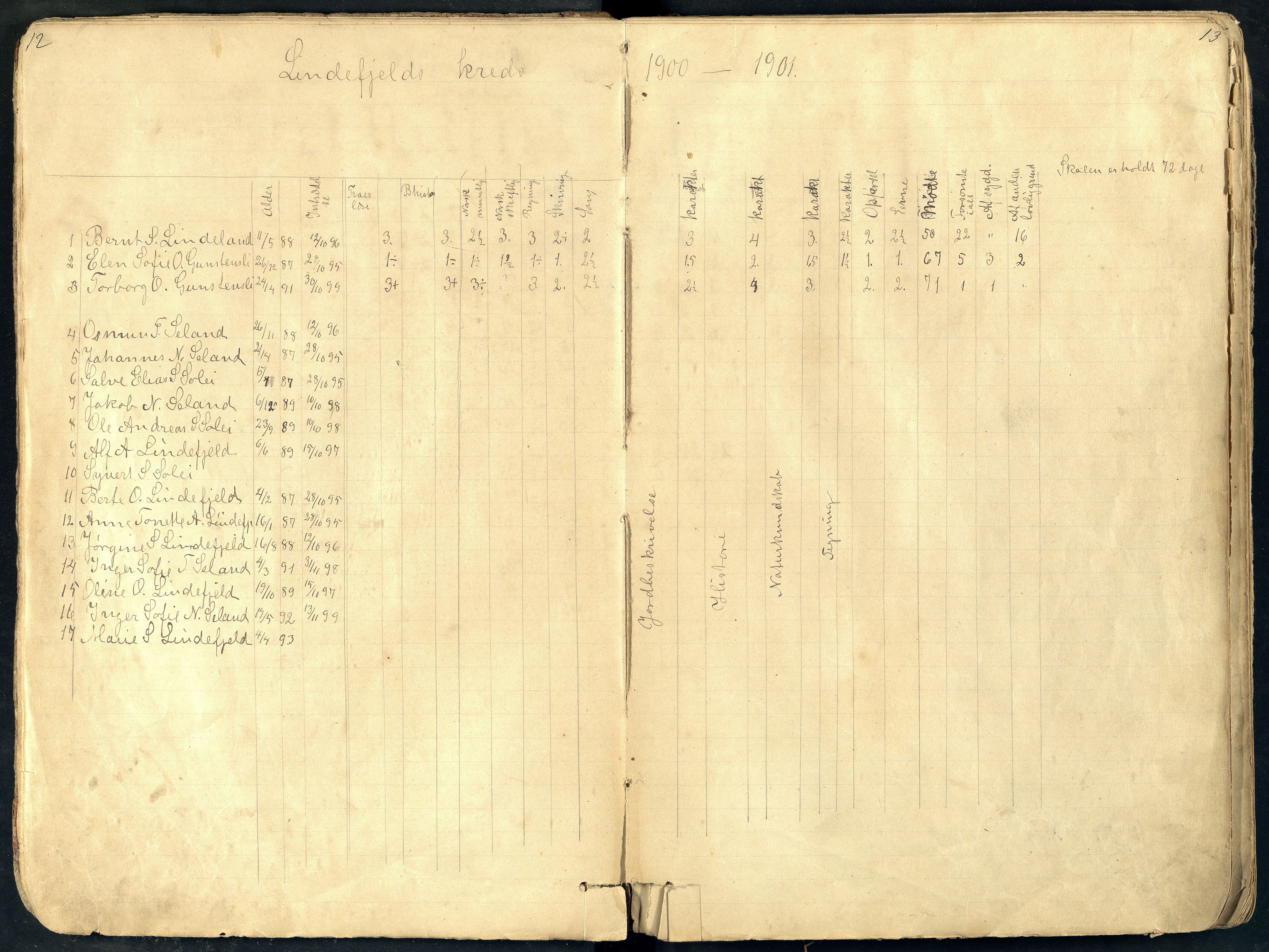 Fjotland kommune - Risnes Skole, ARKSOR/1037FJ556/H/L0003: Skoleprotokoll, også Lindefjell skole, 1895-1921