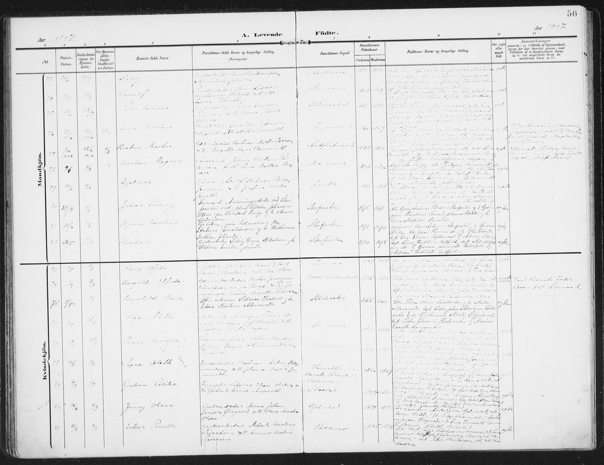Ministerialprotokoller, klokkerbøker og fødselsregistre - Nordland, AV/SAT-A-1459/827/L0402: Ministerialbok nr. 827A14, 1903-1912, s. 56