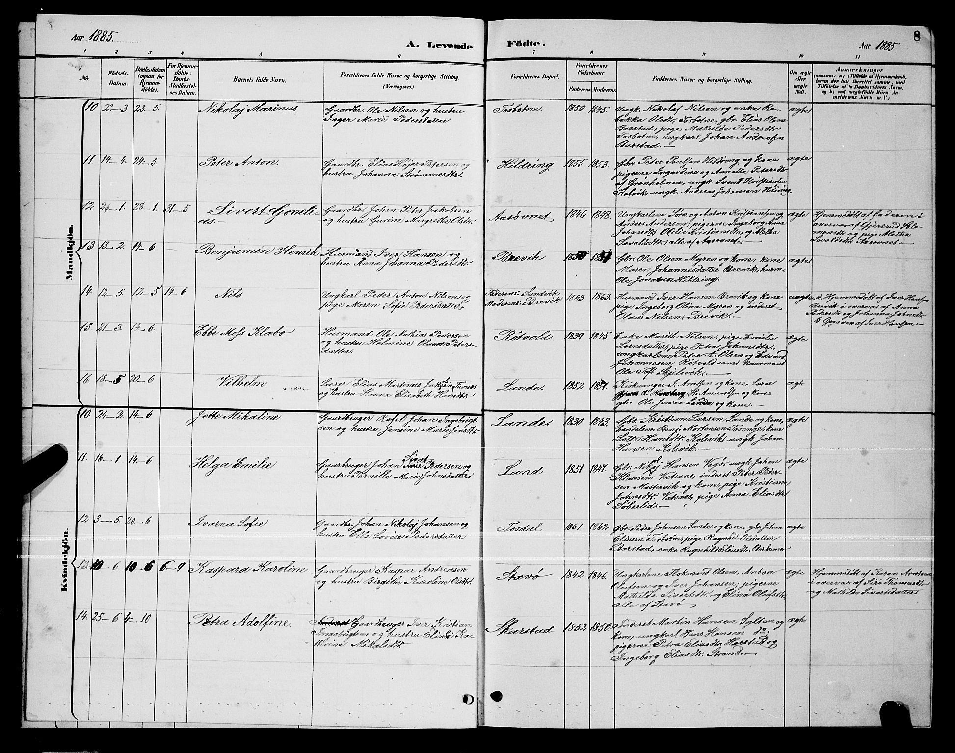 Ministerialprotokoller, klokkerbøker og fødselsregistre - Nordland, AV/SAT-A-1459/810/L0160: Klokkerbok nr. 810C03, 1884-1896, s. 8