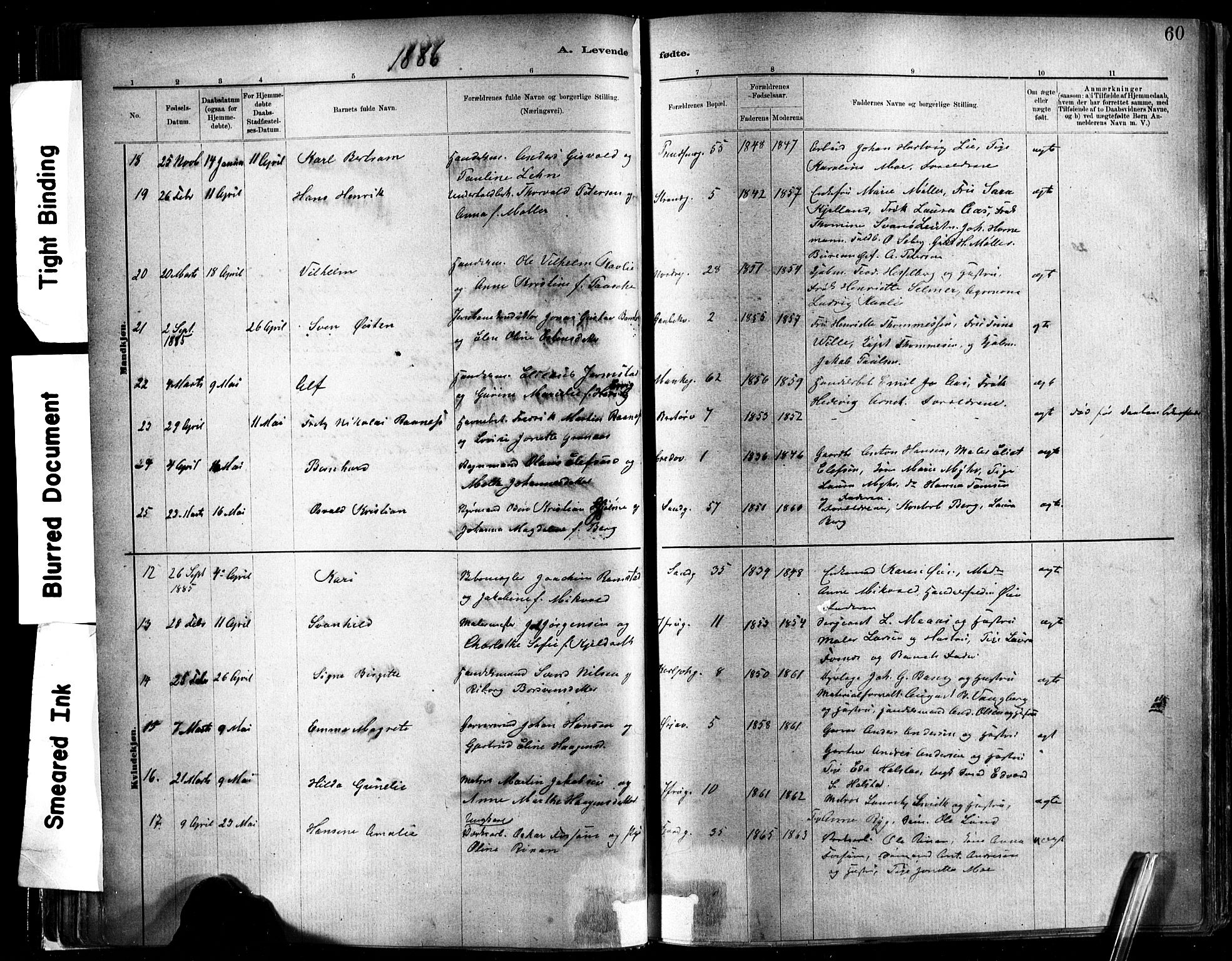 Ministerialprotokoller, klokkerbøker og fødselsregistre - Sør-Trøndelag, SAT/A-1456/602/L0119: Ministerialbok nr. 602A17, 1880-1901, s. 60