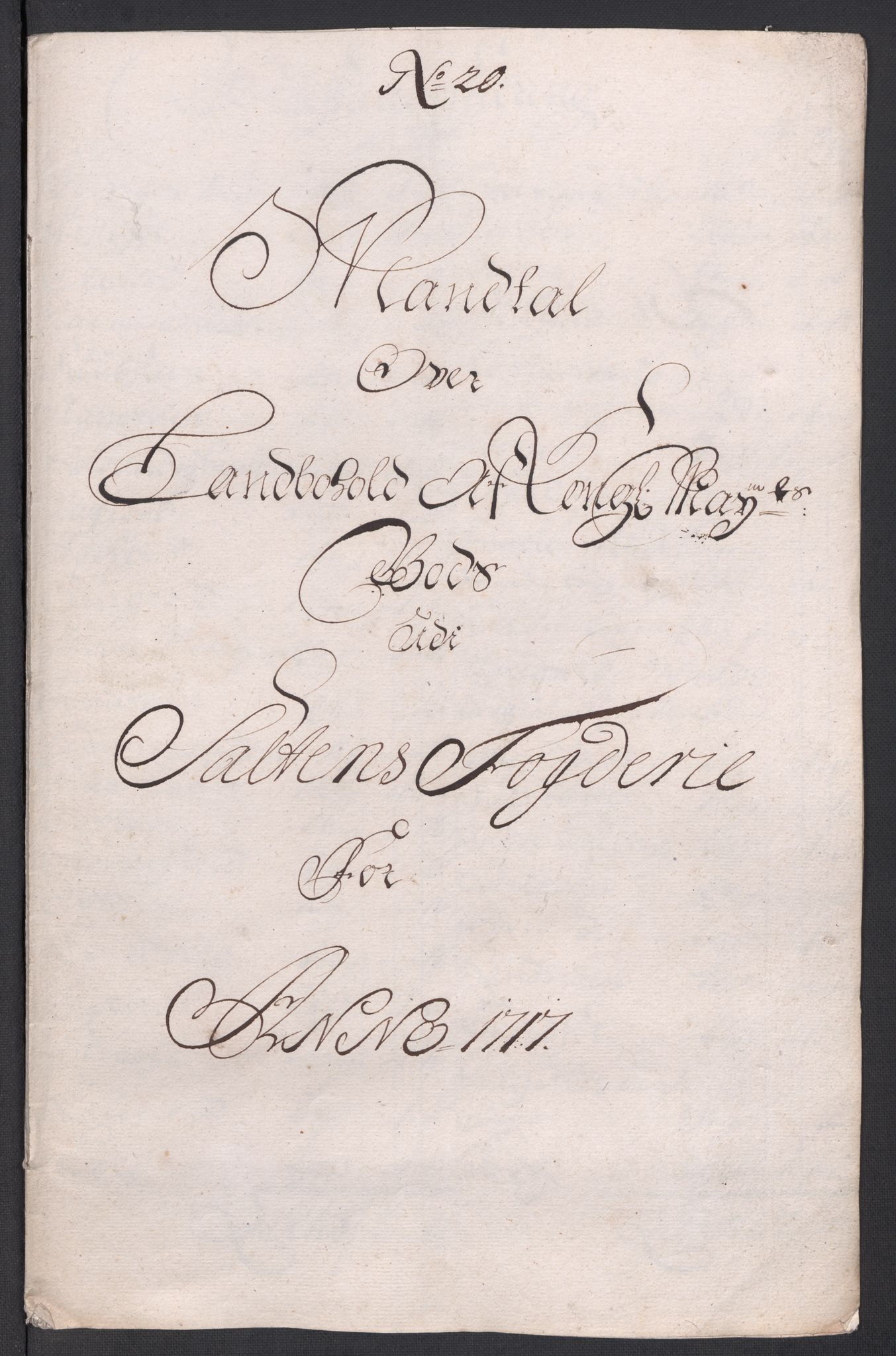 Rentekammeret inntil 1814, Reviderte regnskaper, Fogderegnskap, RA/EA-4092/R66/L4587: Fogderegnskap Salten, 1717, s. 227