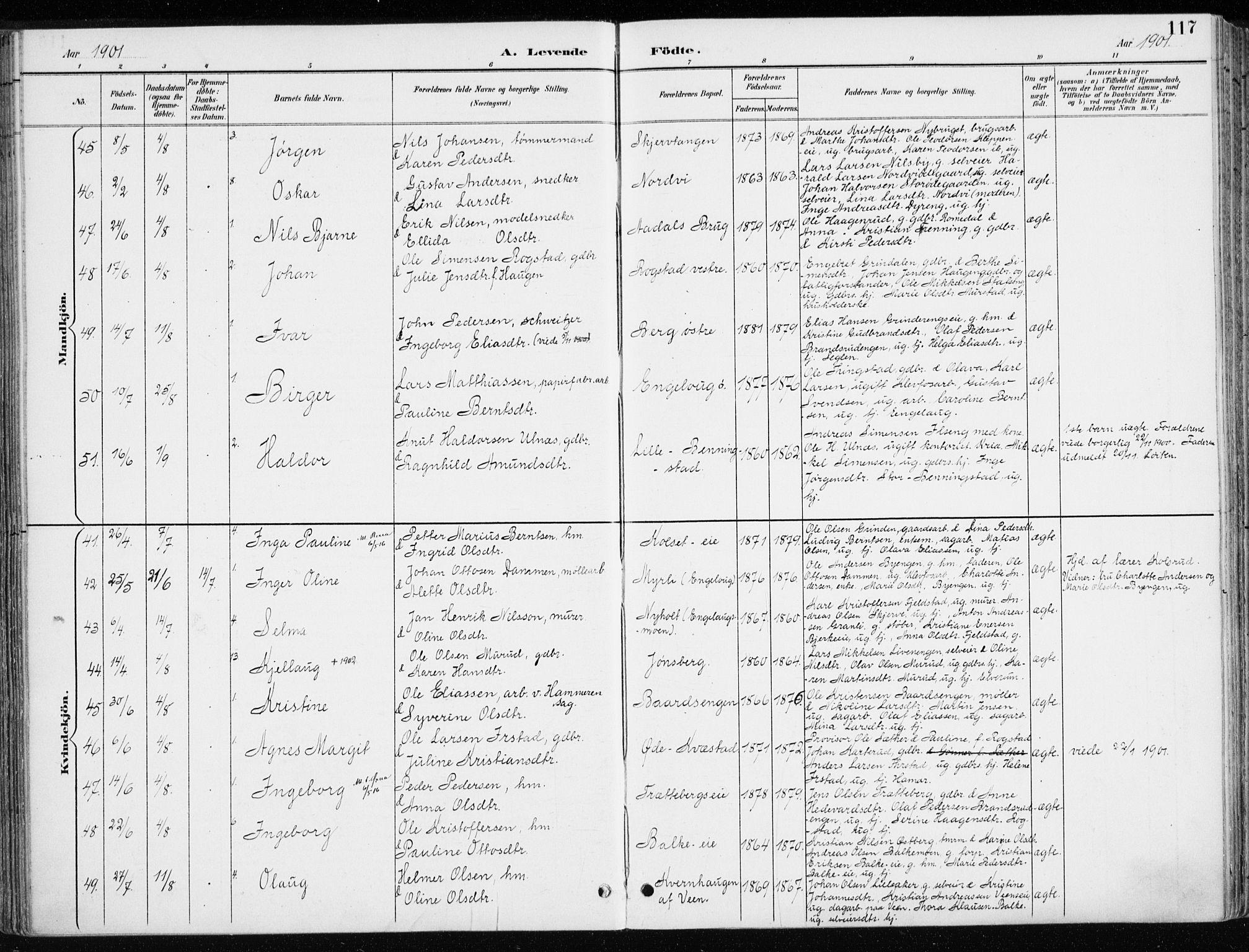 Løten prestekontor, AV/SAH-PREST-022/K/Ka/L0010: Ministerialbok nr. 10, 1892-1907, s. 117