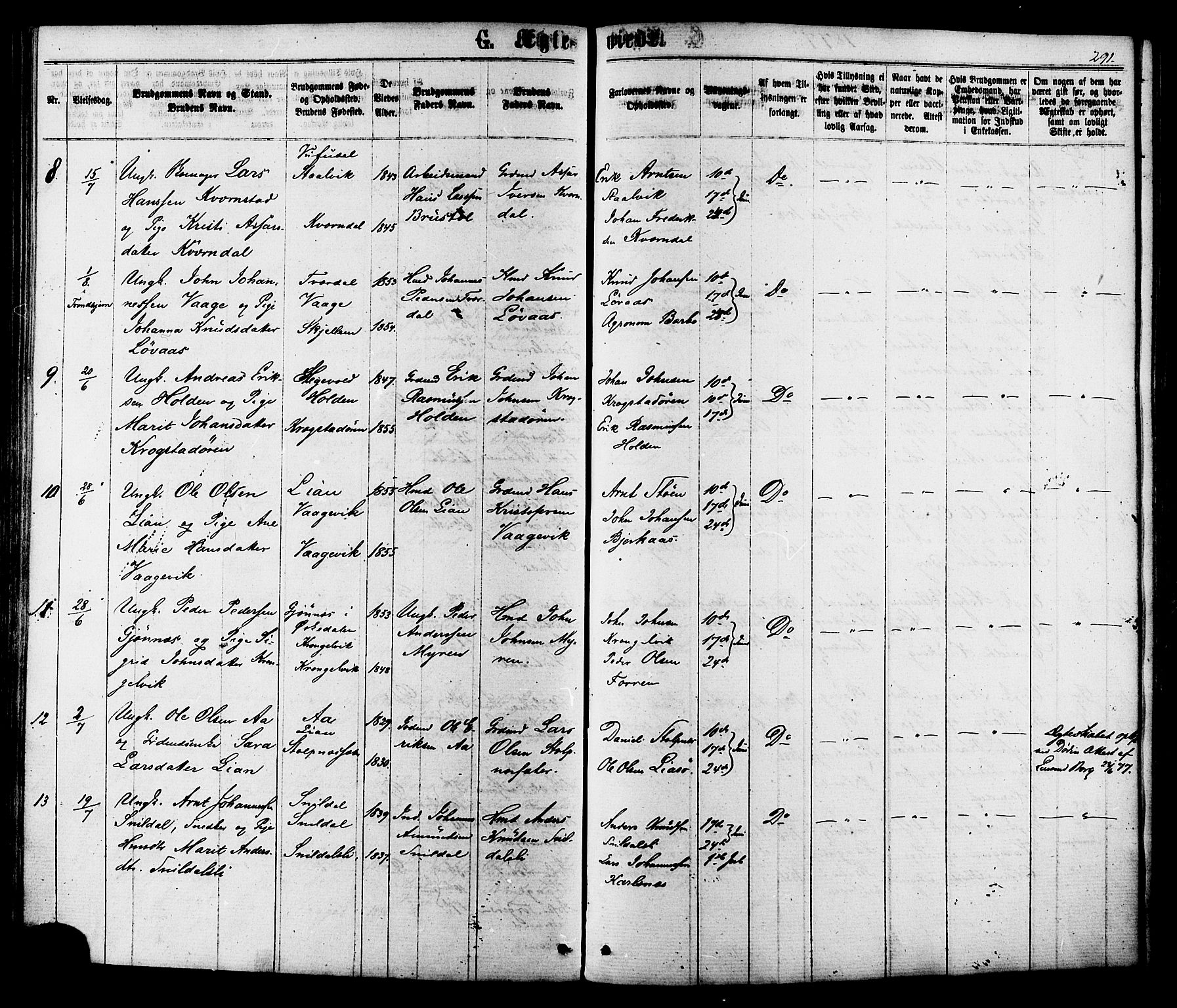 Ministerialprotokoller, klokkerbøker og fødselsregistre - Sør-Trøndelag, AV/SAT-A-1456/630/L0495: Ministerialbok nr. 630A08, 1868-1878, s. 291