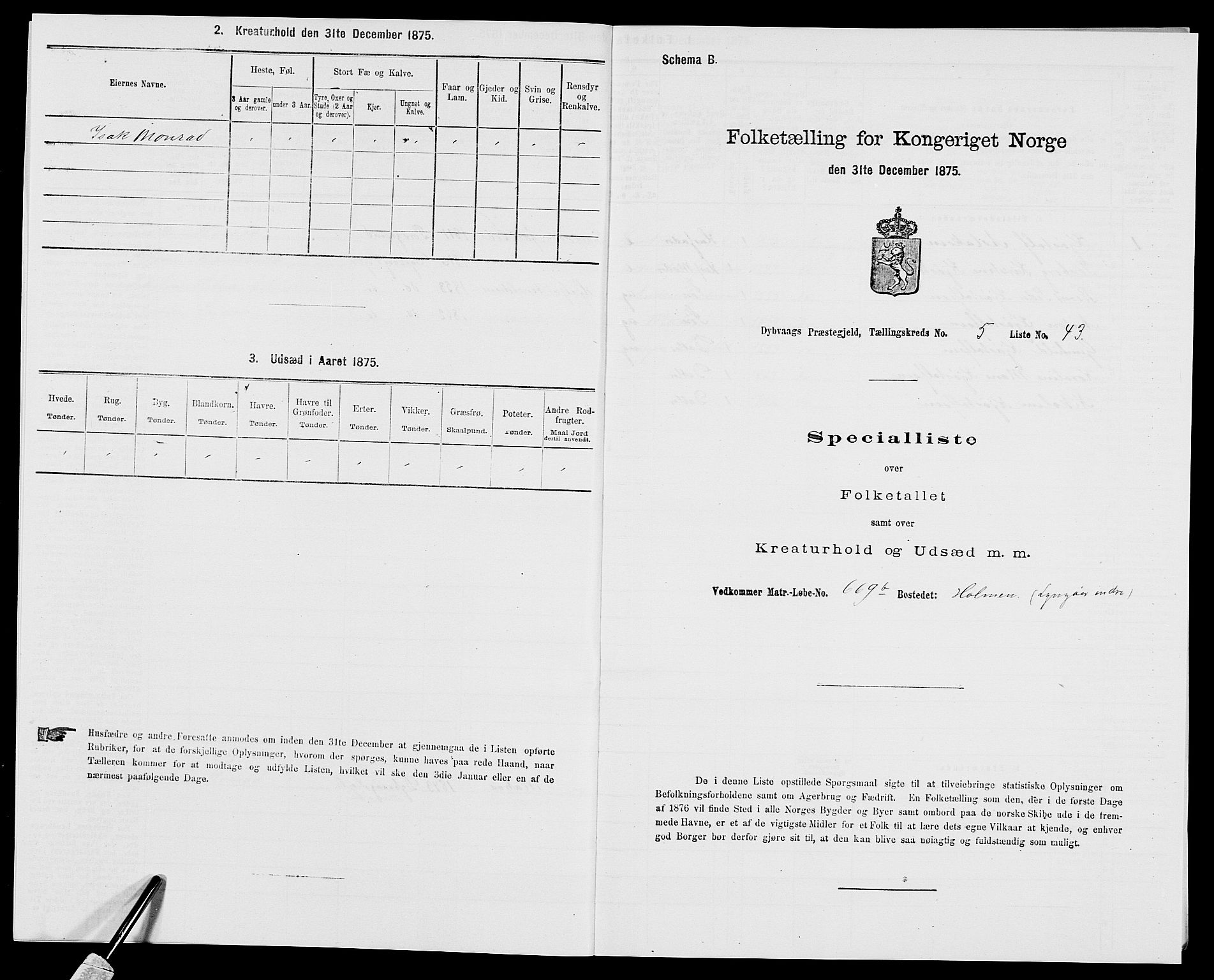 SAK, Folketelling 1875 for 0915P Dypvåg prestegjeld, 1875, s. 624