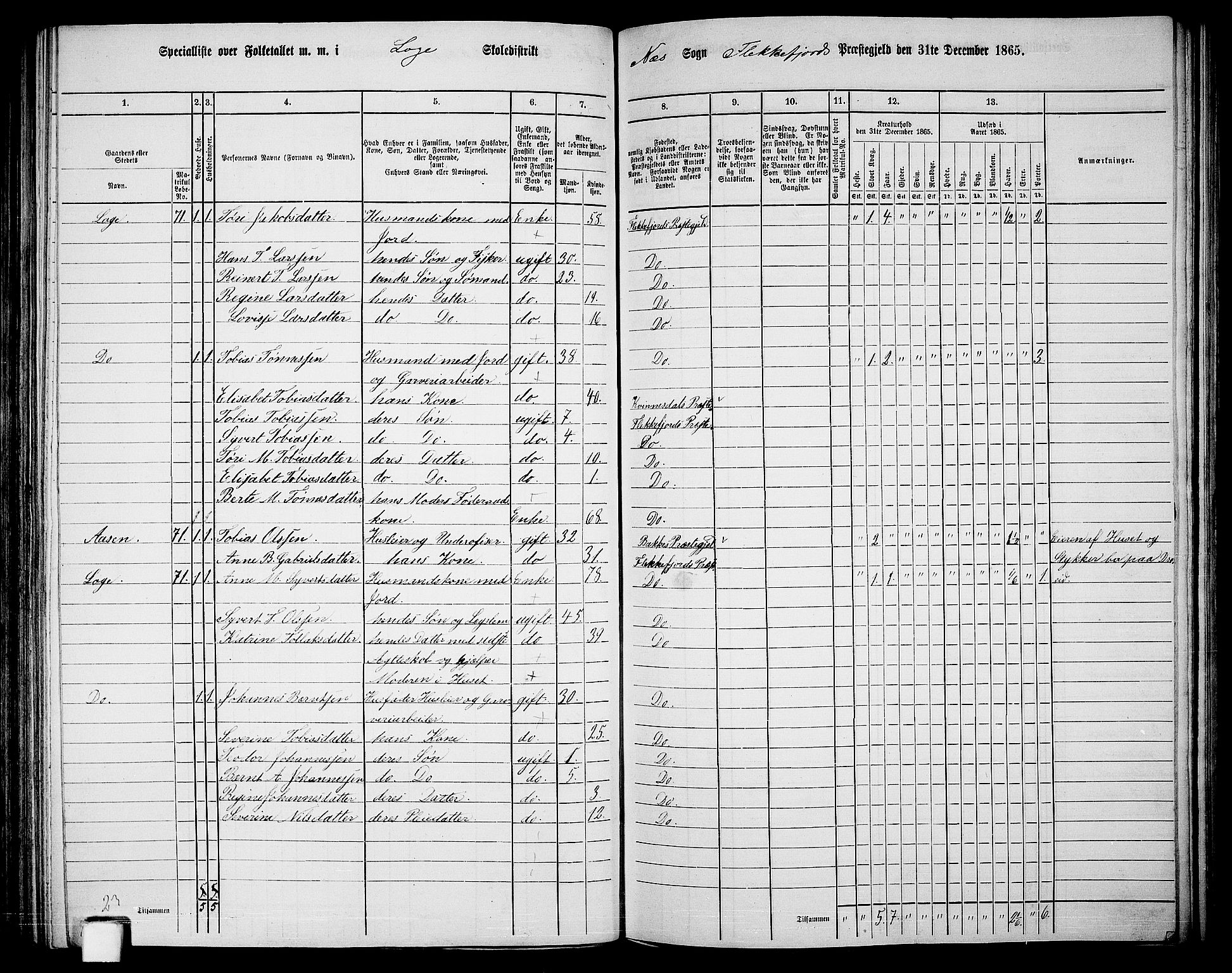 RA, Folketelling 1865 for 1042L Flekkefjord prestegjeld, Nes sokn og Hidra sokn, 1865, s. 119