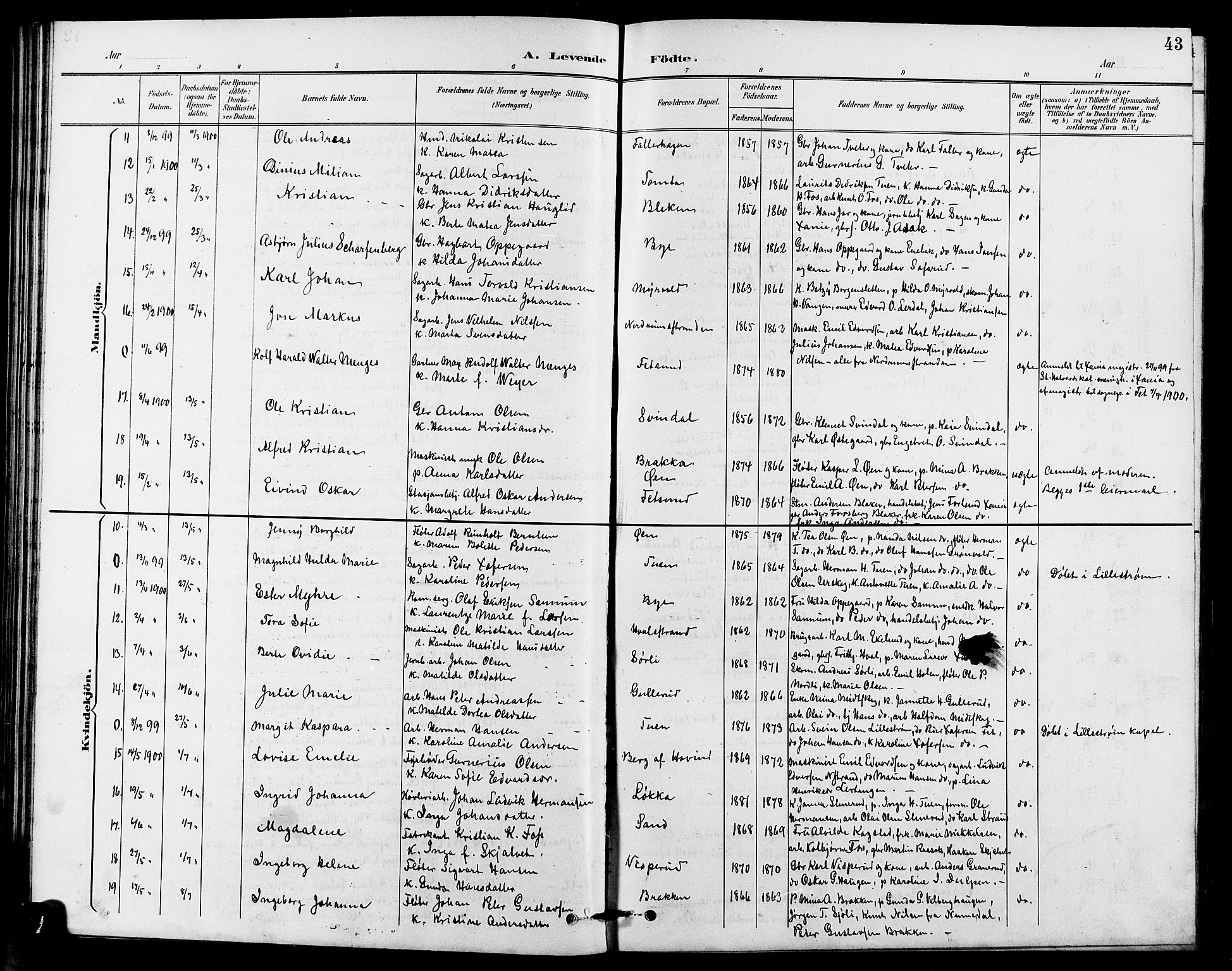 Fet prestekontor Kirkebøker, AV/SAO-A-10370a/G/Ga/L0007: Klokkerbok nr. I 7, 1892-1906, s. 43