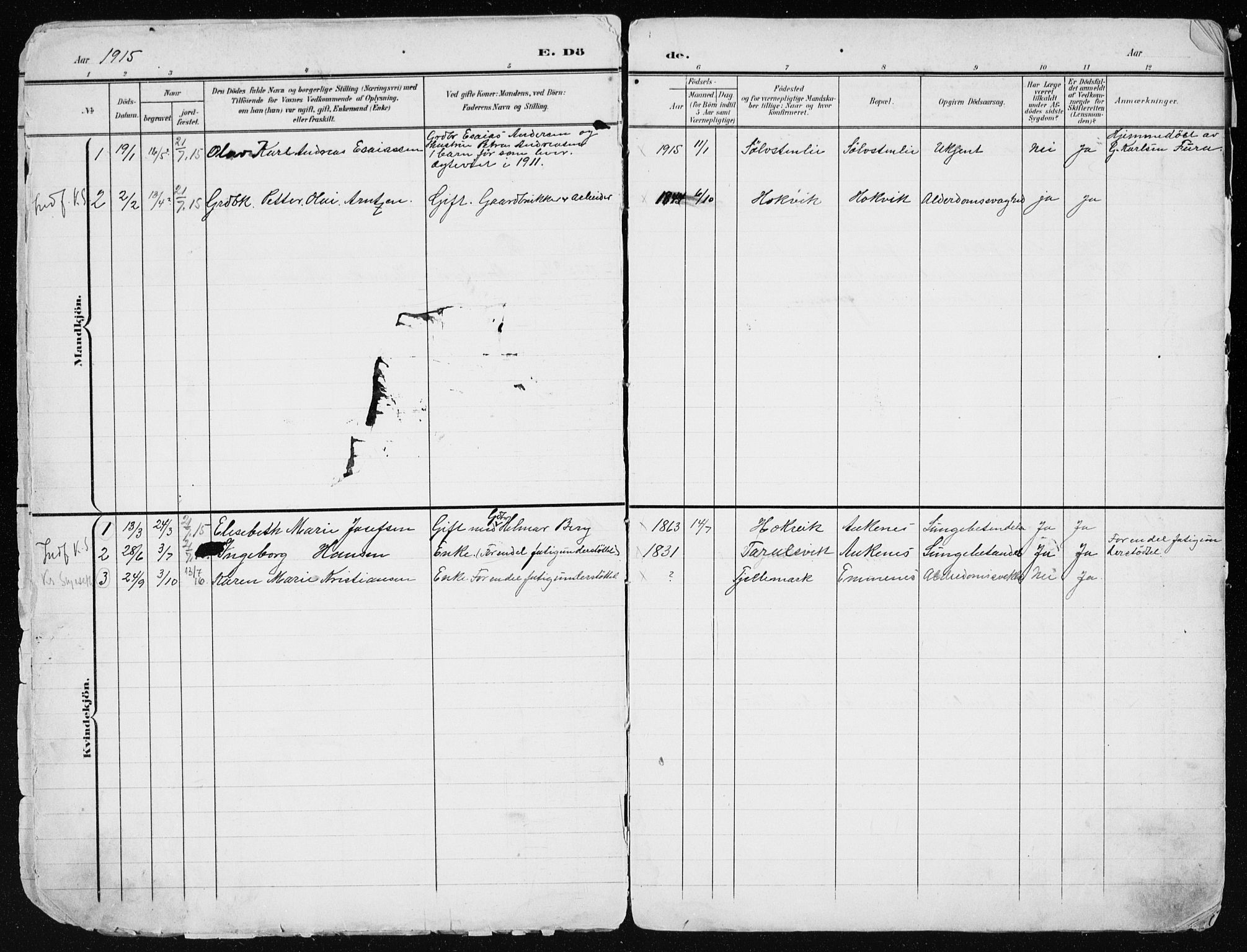 Ministerialprotokoller, klokkerbøker og fødselsregistre - Nordland, AV/SAT-A-1459/866/L0959: Klokkerbok nr. 866C08, 1900-1949