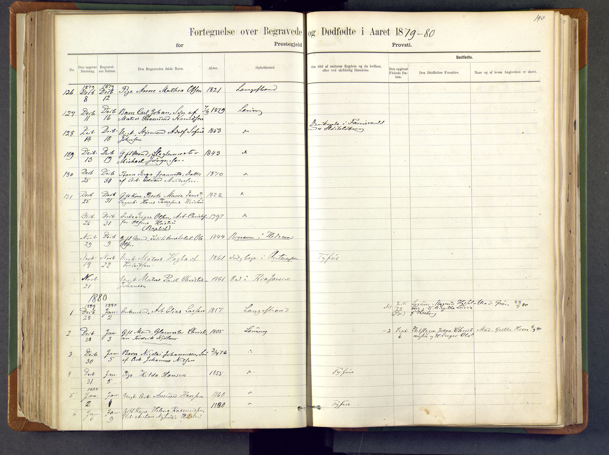 Larvik kirkebøker, AV/SAKO-A-352/F/Fa/L0007: Ministerialbok nr. I 7, 1871-1883, s. 190