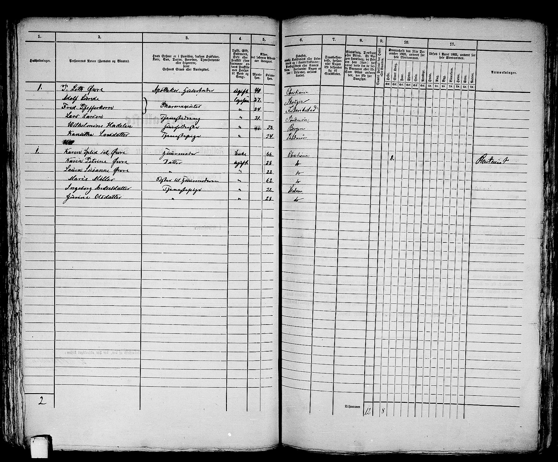 RA, Folketelling 1865 for 1501P Ålesund prestegjeld, 1865, s. 246