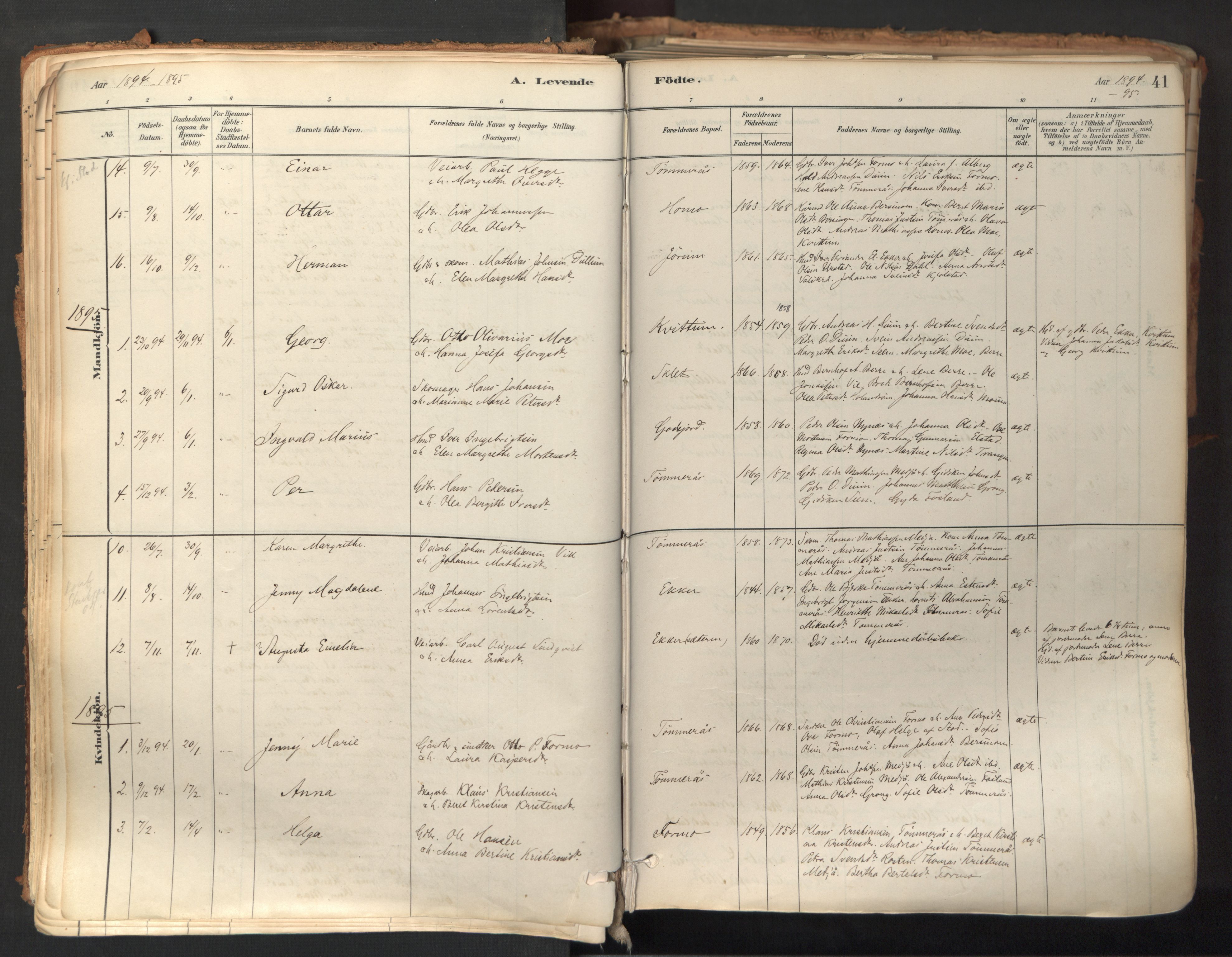 Ministerialprotokoller, klokkerbøker og fødselsregistre - Nord-Trøndelag, AV/SAT-A-1458/758/L0519: Ministerialbok nr. 758A04, 1880-1926, s. 41