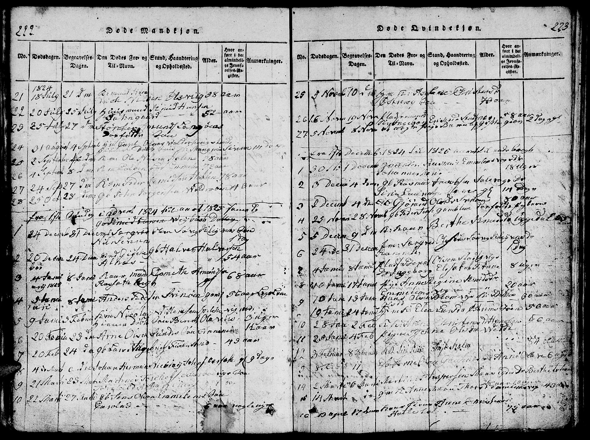 Ministerialprotokoller, klokkerbøker og fødselsregistre - Møre og Romsdal, AV/SAT-A-1454/528/L0423: Klokkerbok nr. 528C04, 1816-1827, s. 222-223