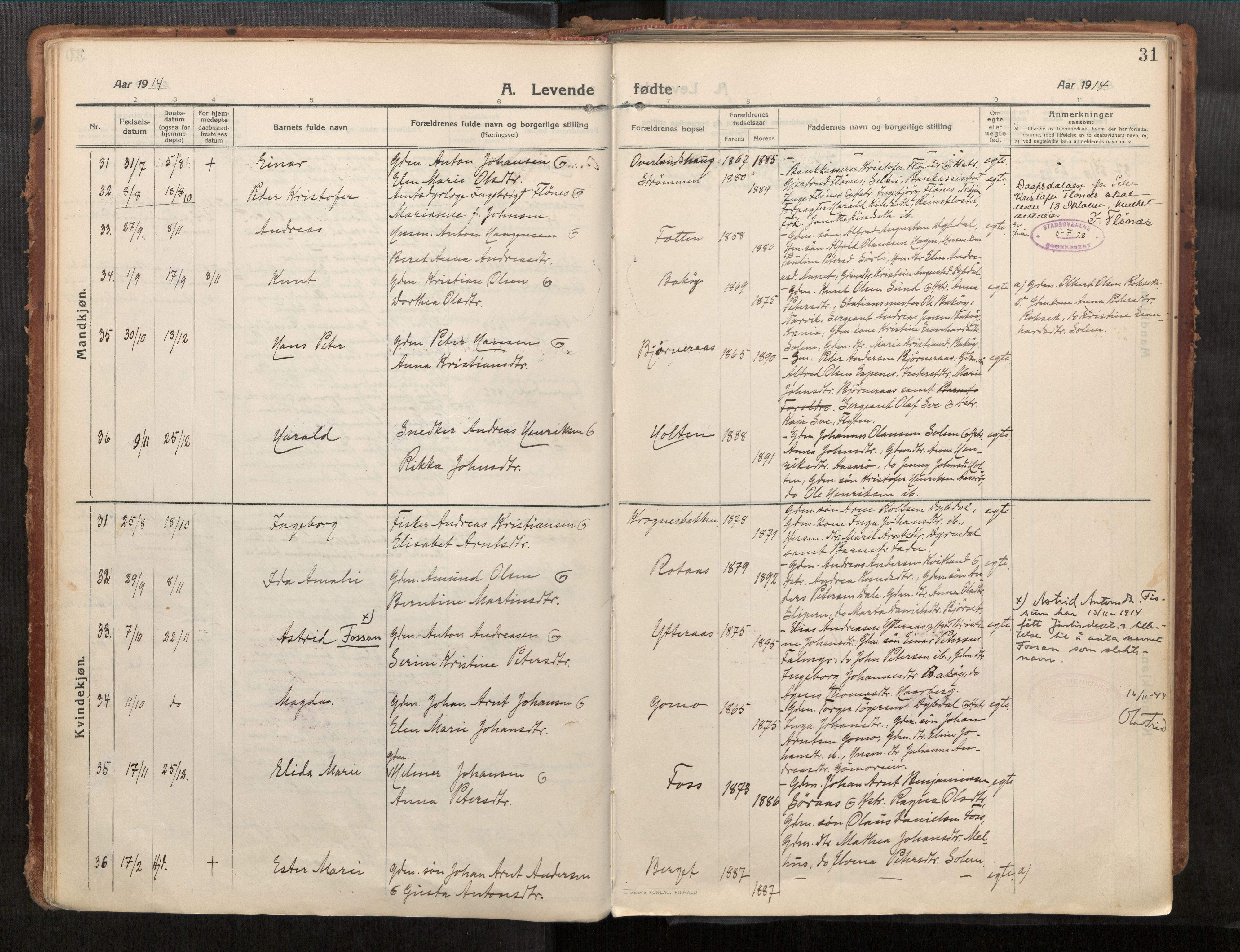 Stadsbygd sokneprestkontor, AV/SAT-A-1117/1/I/I1/I1a/L0001: Ministerialbok nr. 1, 1911-1929, s. 31