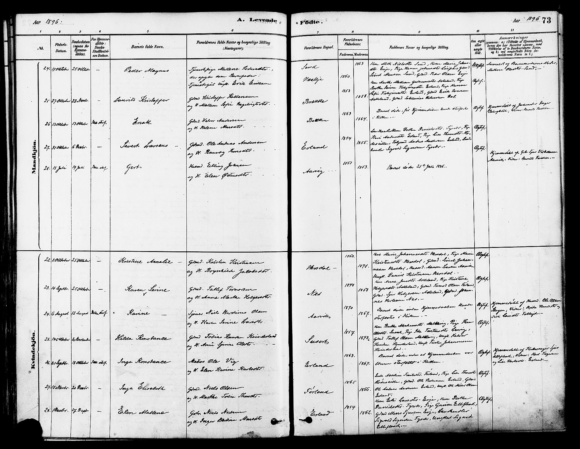 Tysvær sokneprestkontor, AV/SAST-A -101864/H/Ha/Haa/L0006: Ministerialbok nr. A 6, 1878-1896, s. 73