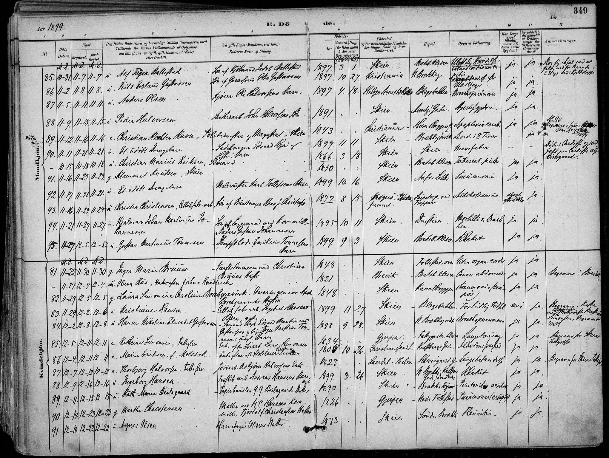 Skien kirkebøker, AV/SAKO-A-302/F/Fa/L0010: Ministerialbok nr. 10, 1891-1899, s. 349