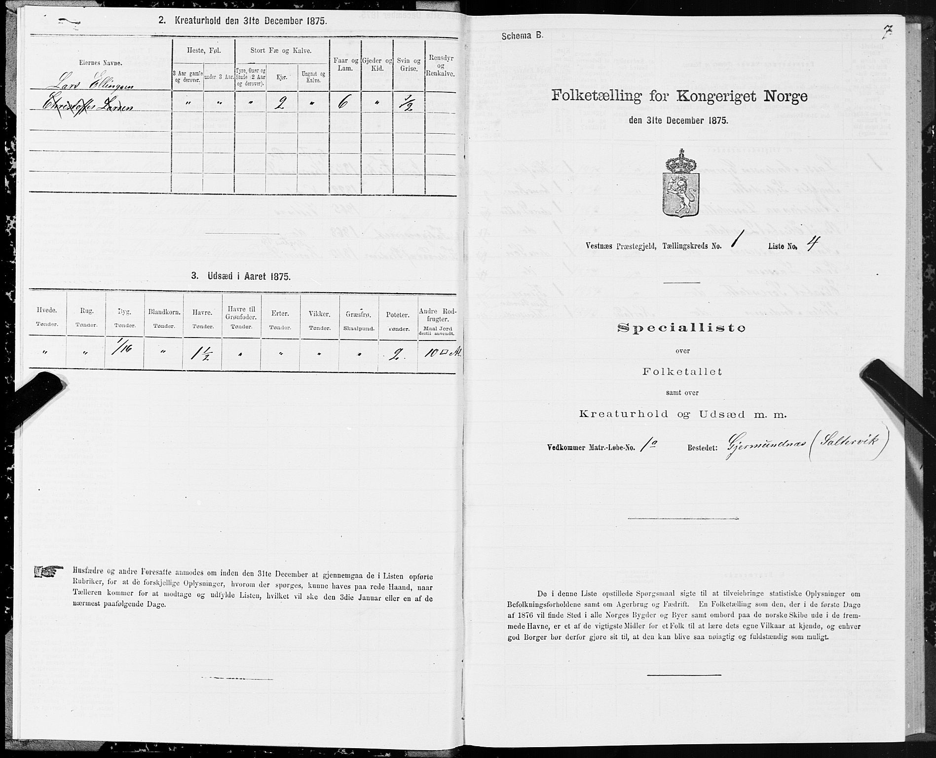 SAT, Folketelling 1875 for 1535P Vestnes prestegjeld, 1875, s. 1007