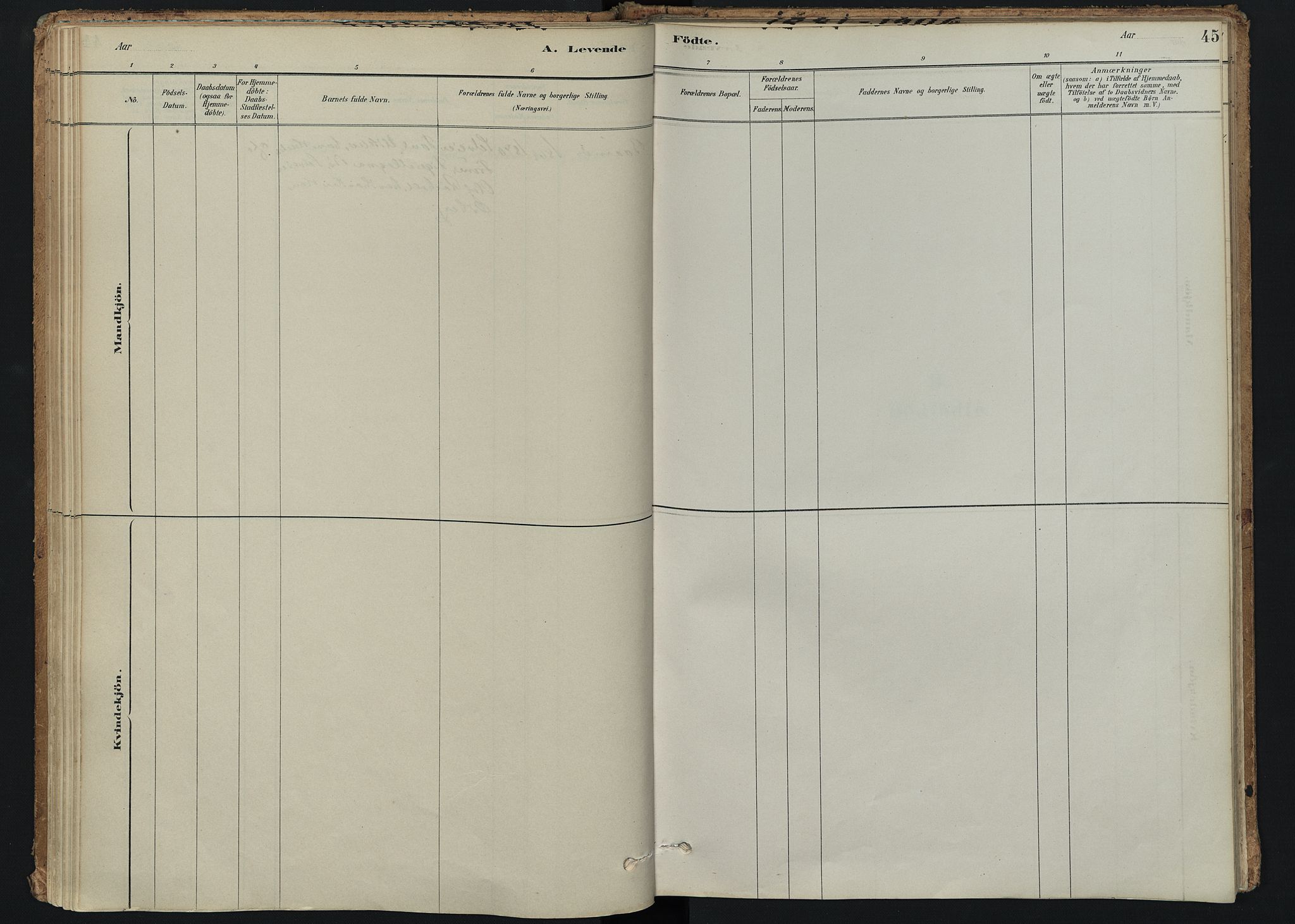 Hedrum kirkebøker, SAKO/A-344/F/Fc/L0001: Ministerialbok nr. III 1, 1881-1906, s. 45