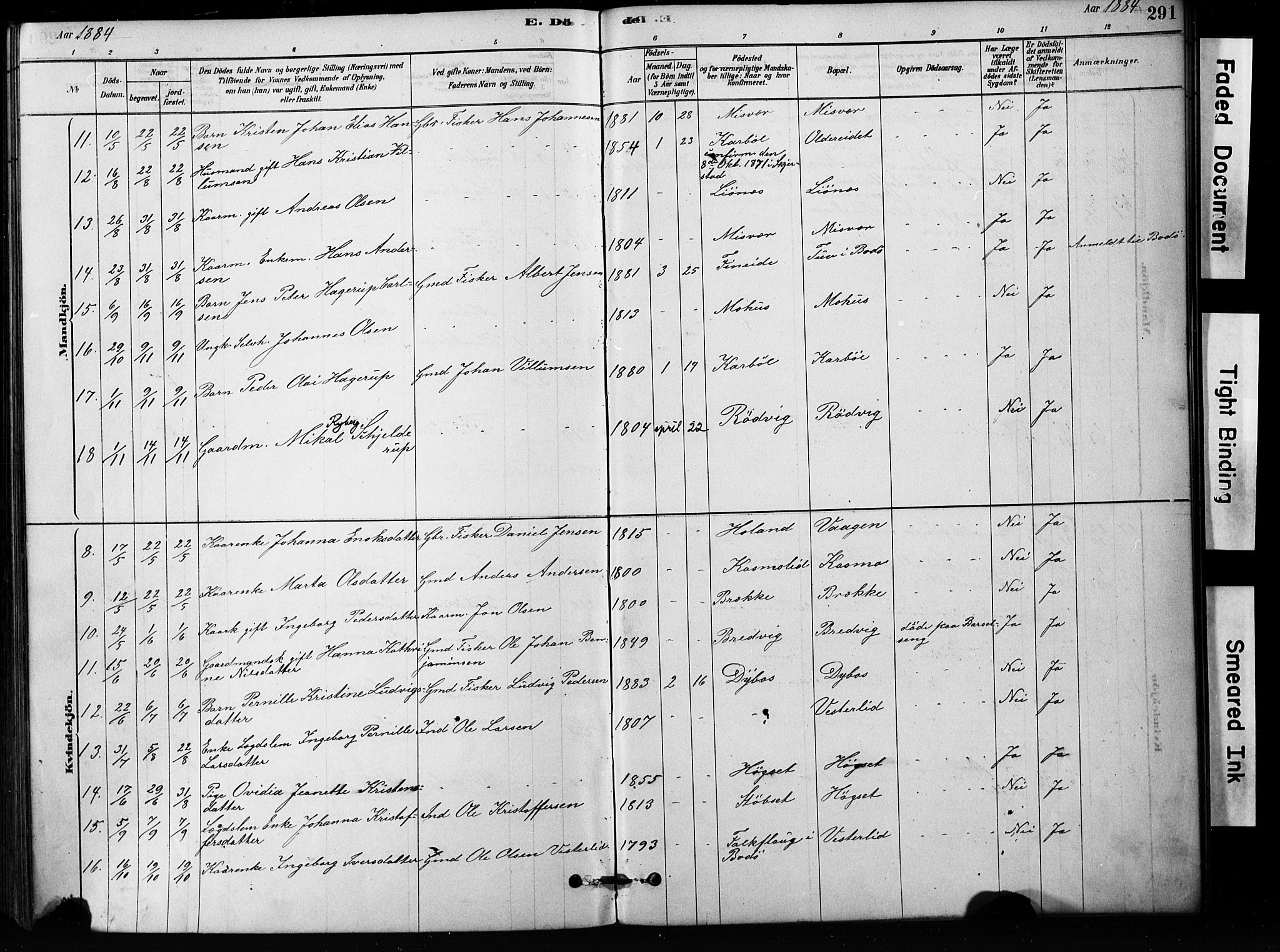 Ministerialprotokoller, klokkerbøker og fødselsregistre - Nordland, AV/SAT-A-1459/852/L0754: Klokkerbok nr. 852C05, 1878-1894, s. 291