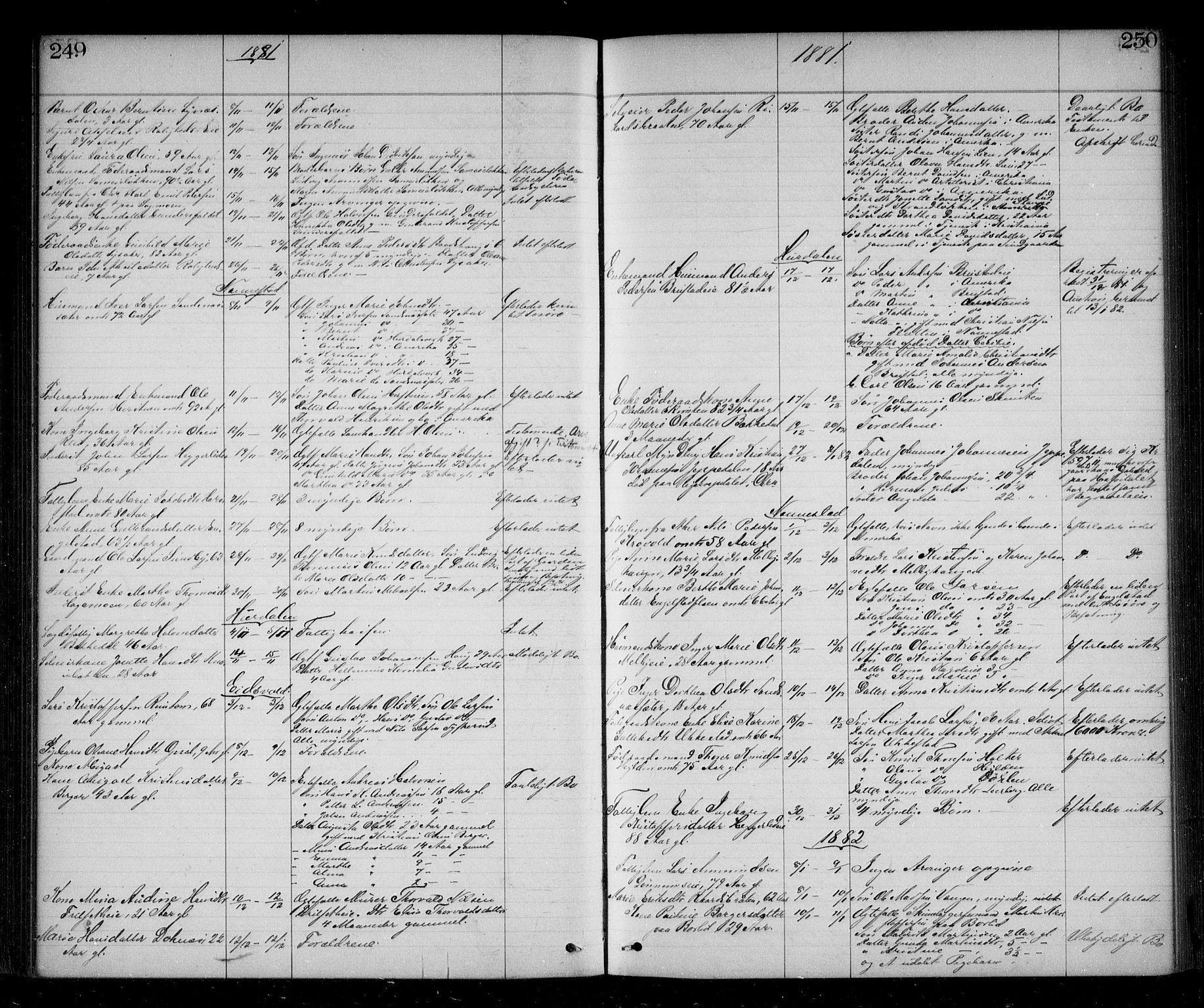 Eidsvoll tingrett, AV/SAO-A-10371/H/Ha/Haa/L0002: Dødsmeldingsprotokoll - Sorenskriveriet, 1863-1910, s. 249-250