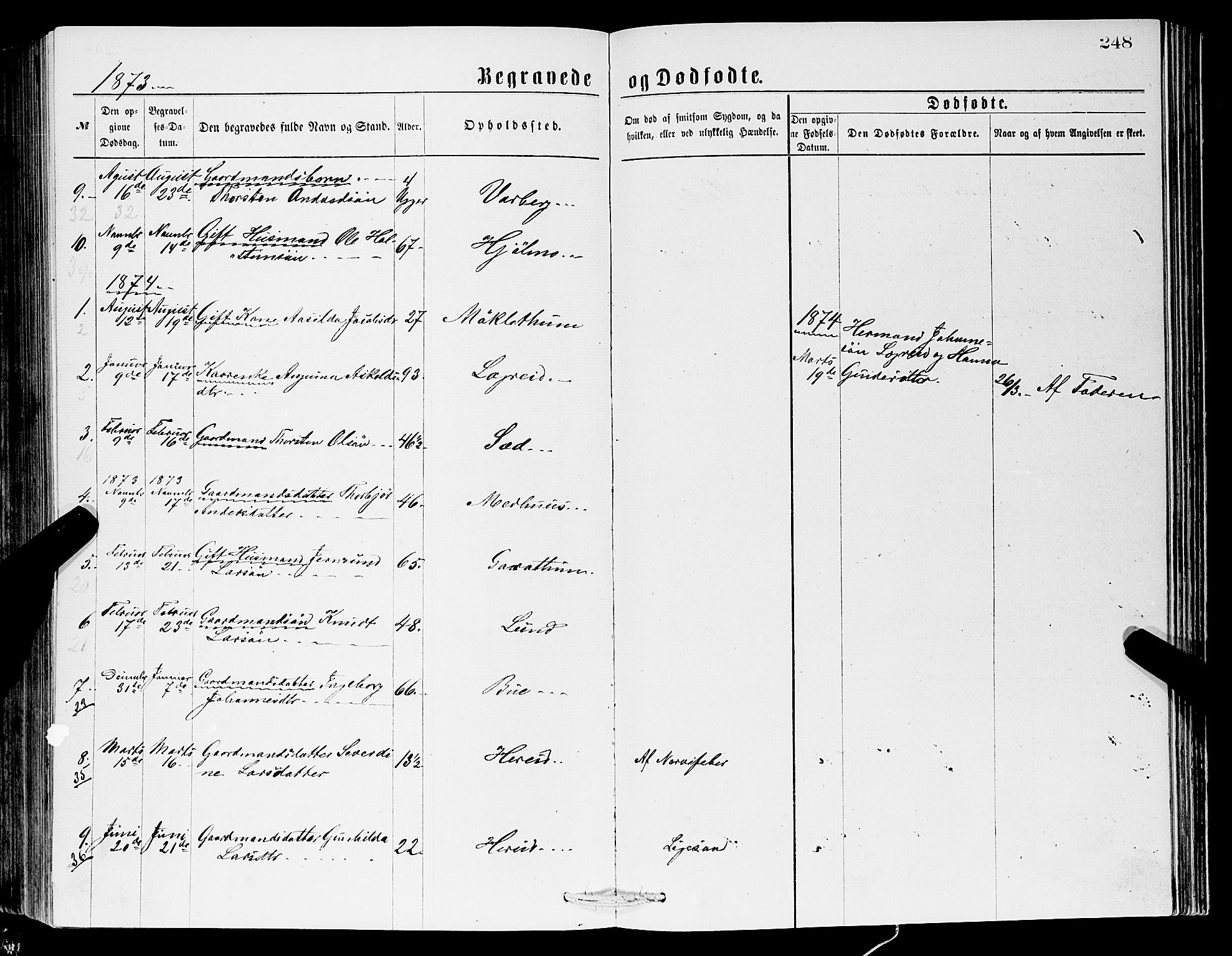 Ullensvang sokneprestembete, SAB/A-78701/H/Hab: Klokkerbok nr. C 2, 1871-1899, s. 248