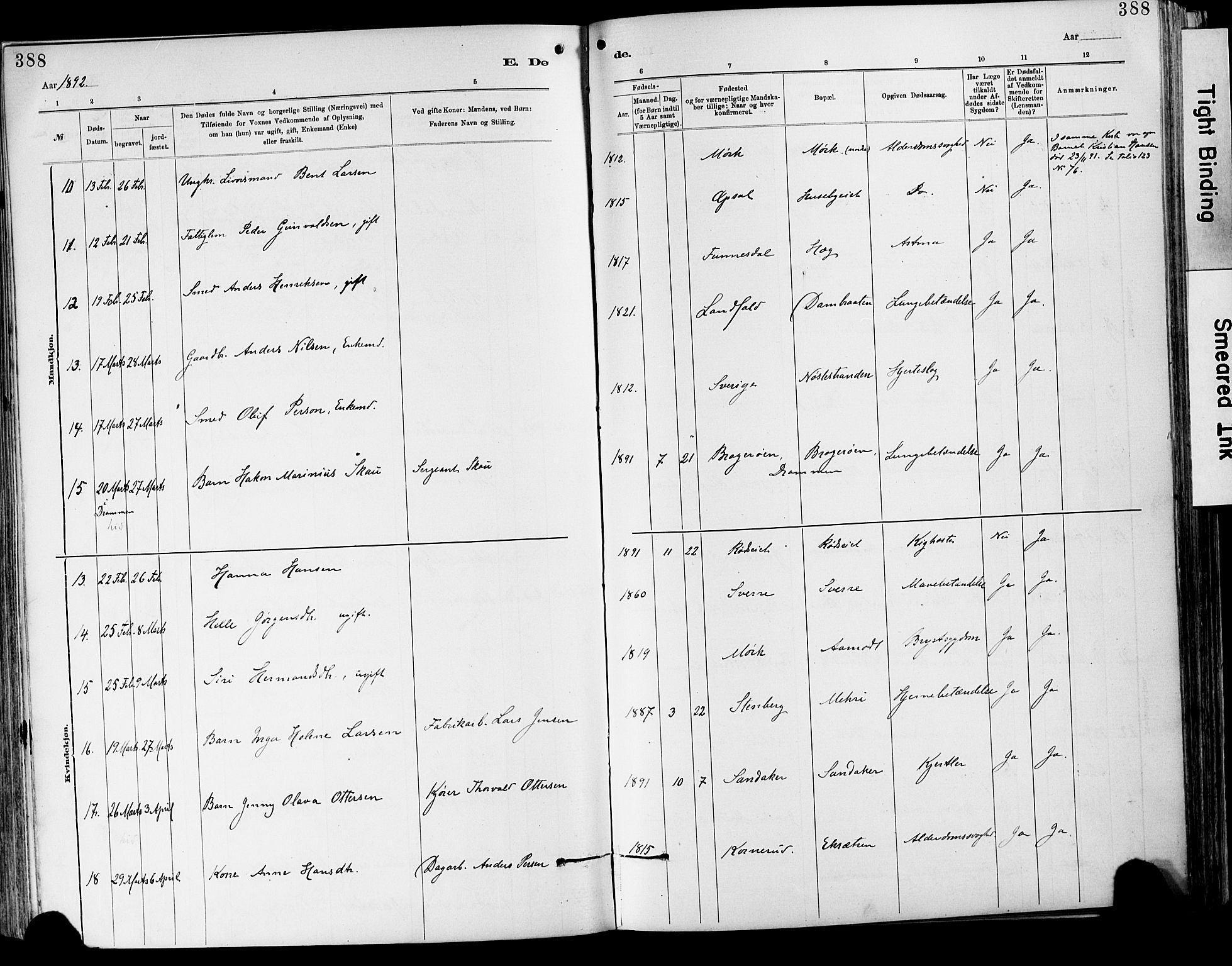Lier kirkebøker, AV/SAKO-A-230/F/Fa/L0015: Ministerialbok nr. I 15, 1883-1894, s. 388