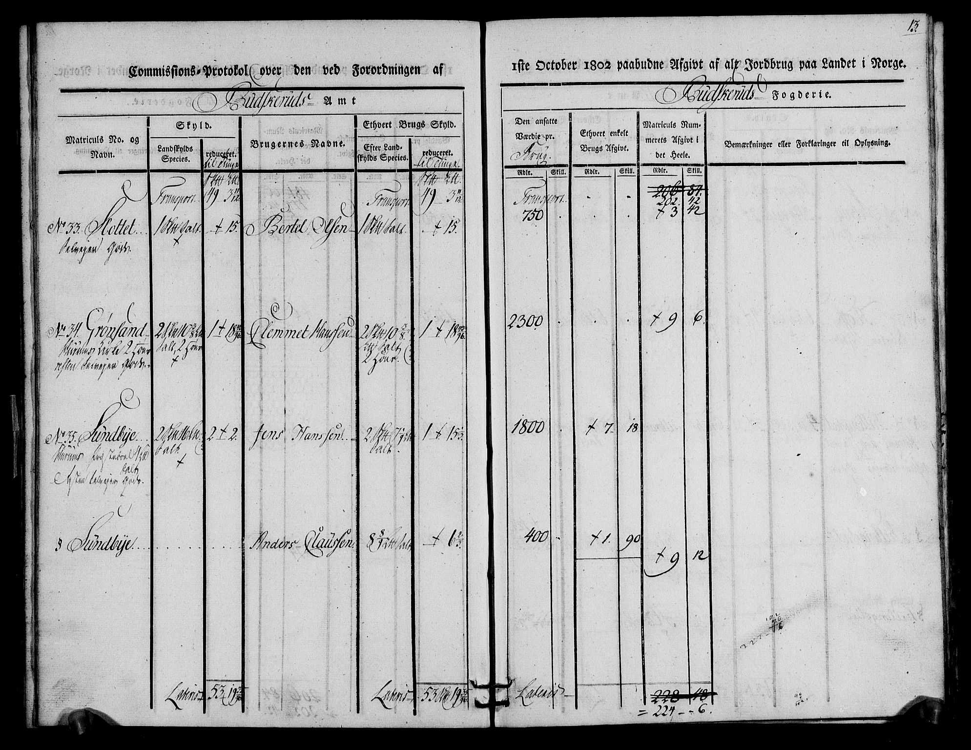 Rentekammeret inntil 1814, Realistisk ordnet avdeling, RA/EA-4070/N/Ne/Nea/L0063: Buskerud fogderi. Kommisjonsprotokoll for Hurum prestegjeld, 1803, s. 13