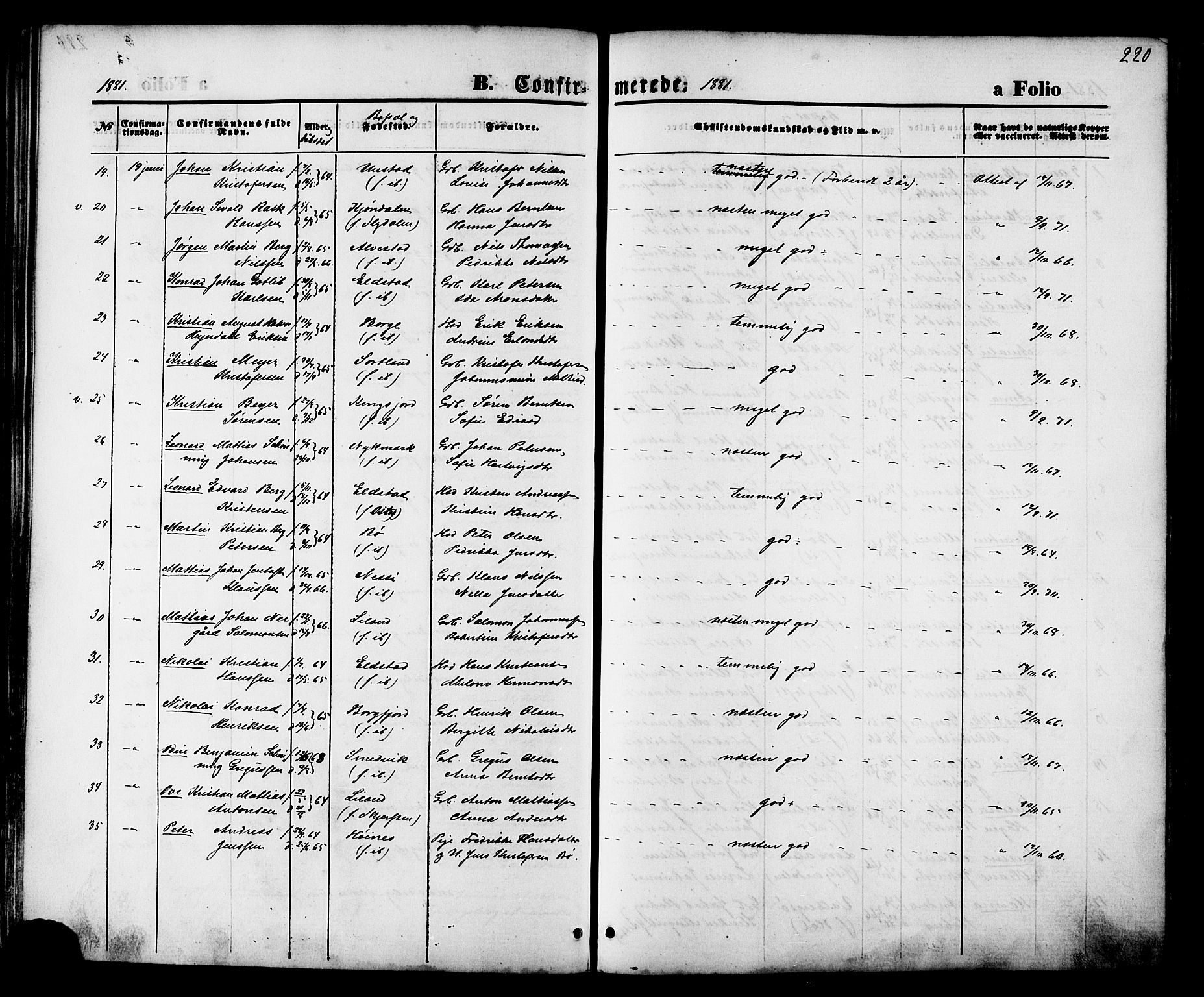 Ministerialprotokoller, klokkerbøker og fødselsregistre - Nordland, AV/SAT-A-1459/880/L1132: Ministerialbok nr. 880A06, 1869-1887, s. 220