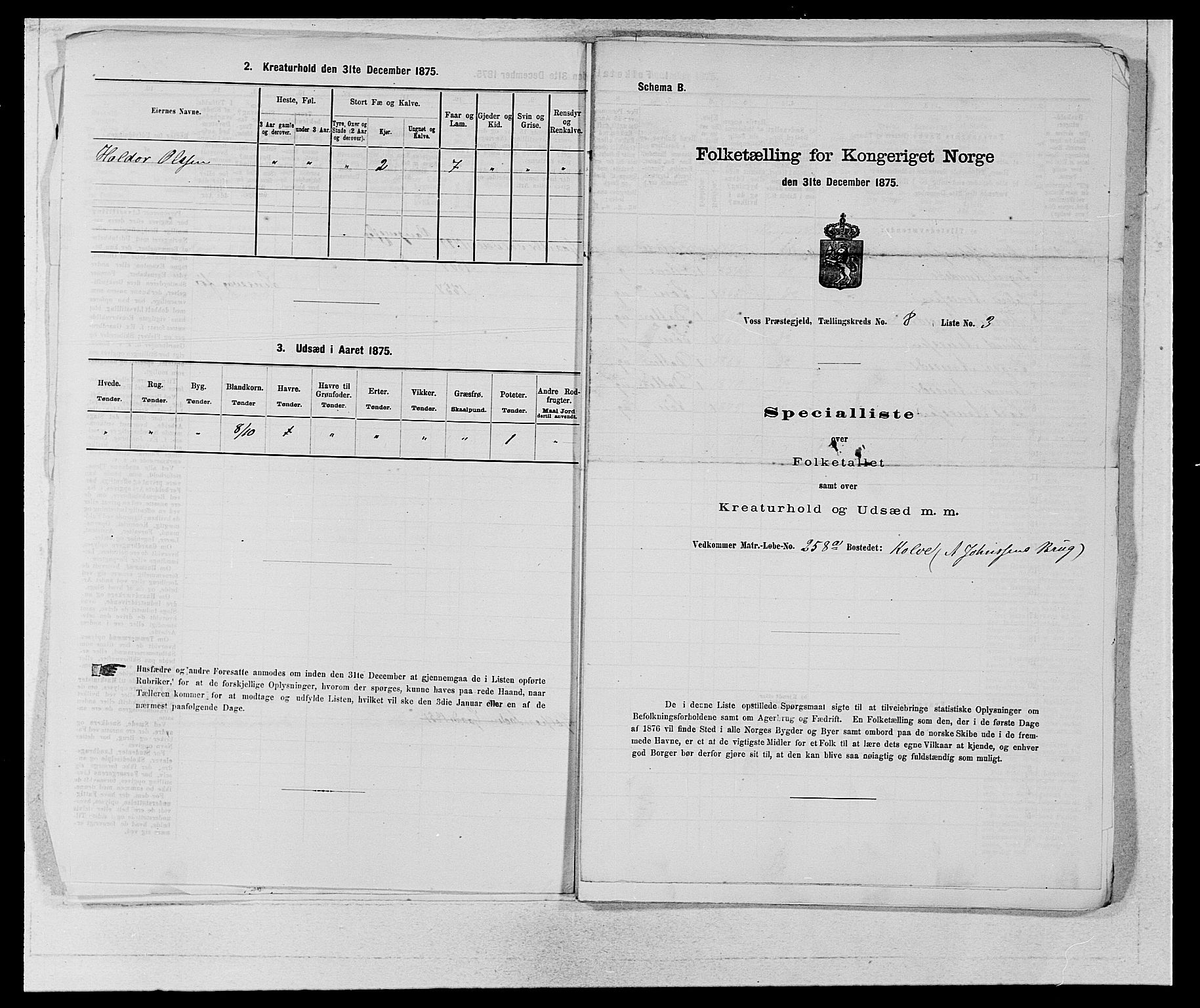 SAB, Folketelling 1875 for 1235P Voss prestegjeld, 1875, s. 910