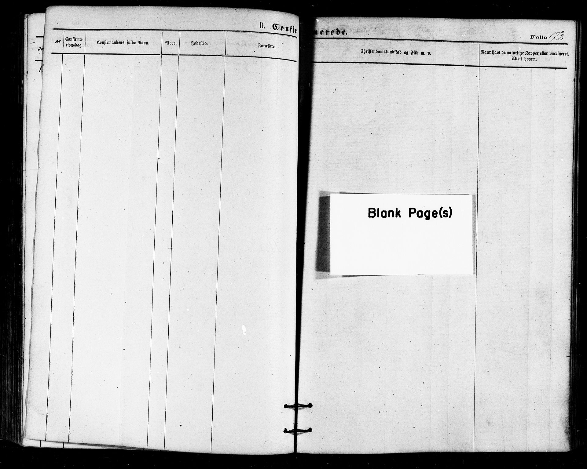 Ministerialprotokoller, klokkerbøker og fødselsregistre - Nordland, AV/SAT-A-1459/813/L0199: Ministerialbok nr. 813A09, 1875-1885, s. 172