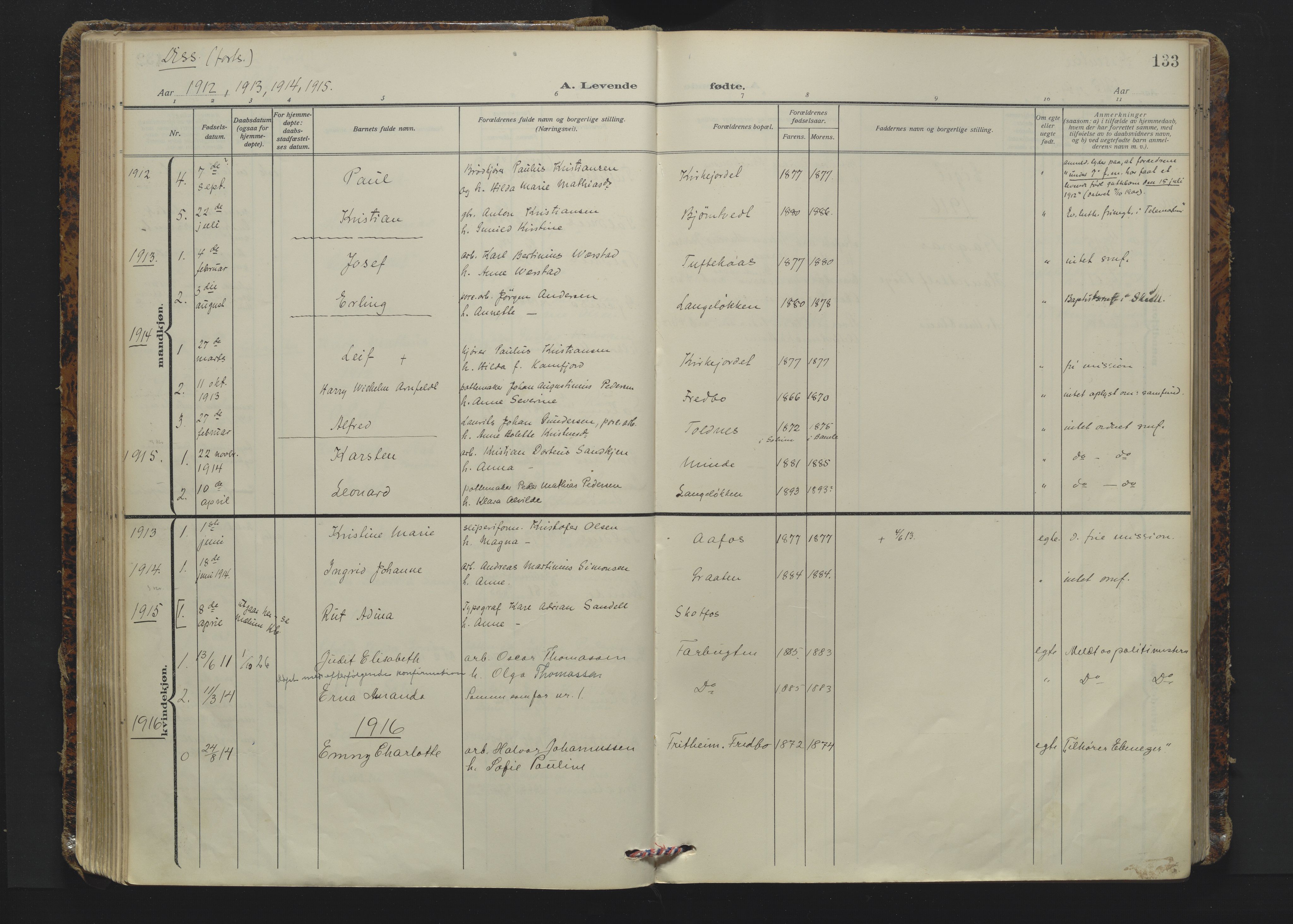 Solum kirkebøker, AV/SAKO-A-306/F/Fa/L0012: Ministerialbok nr. I 12, 1909-1922, s. 133