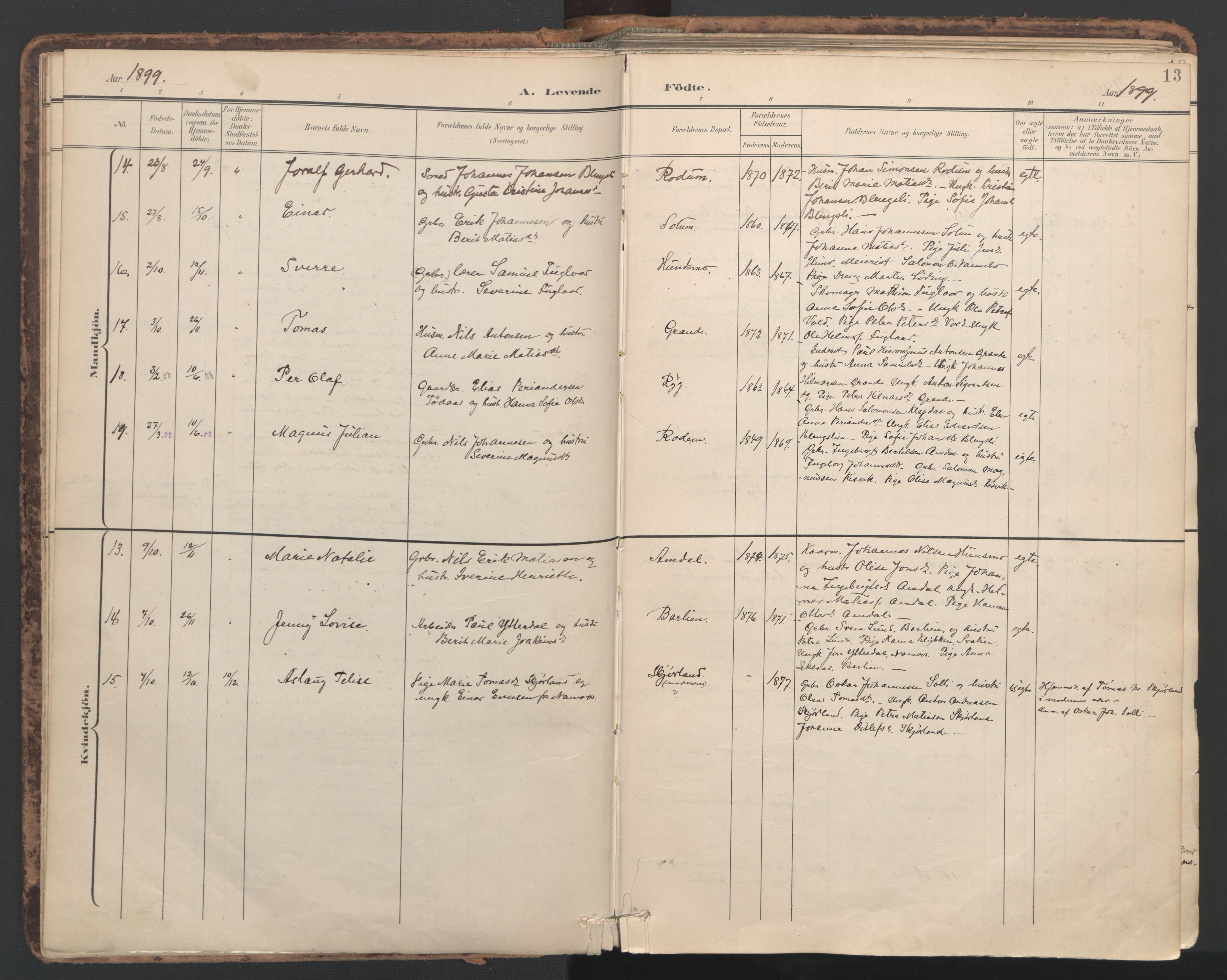 Ministerialprotokoller, klokkerbøker og fødselsregistre - Nord-Trøndelag, AV/SAT-A-1458/764/L0556: Ministerialbok nr. 764A11, 1897-1924, s. 13