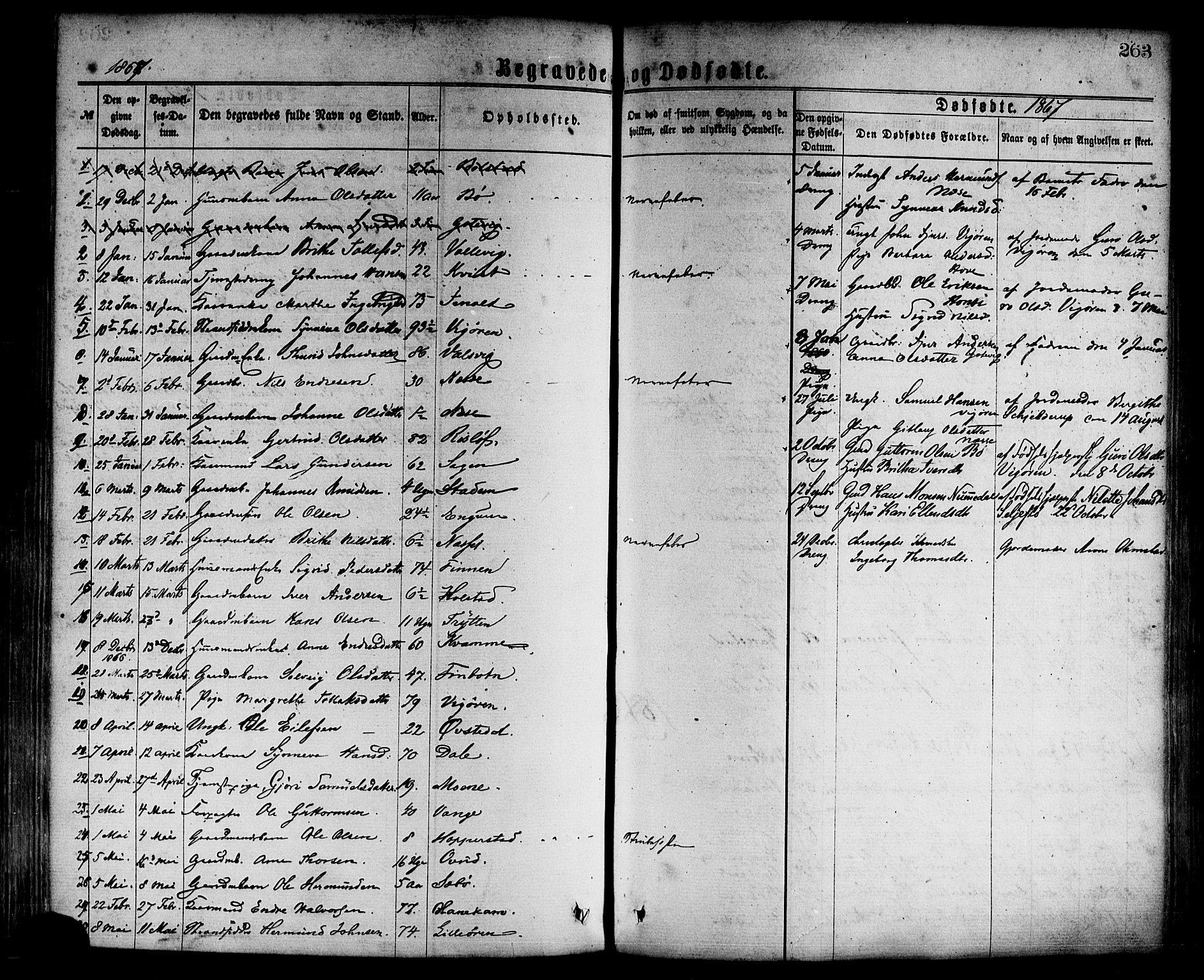 Vik sokneprestembete, AV/SAB-A-81501/H/Haa/Haaa/L0009: Ministerialbok nr. A 9, 1866-1877, s. 263