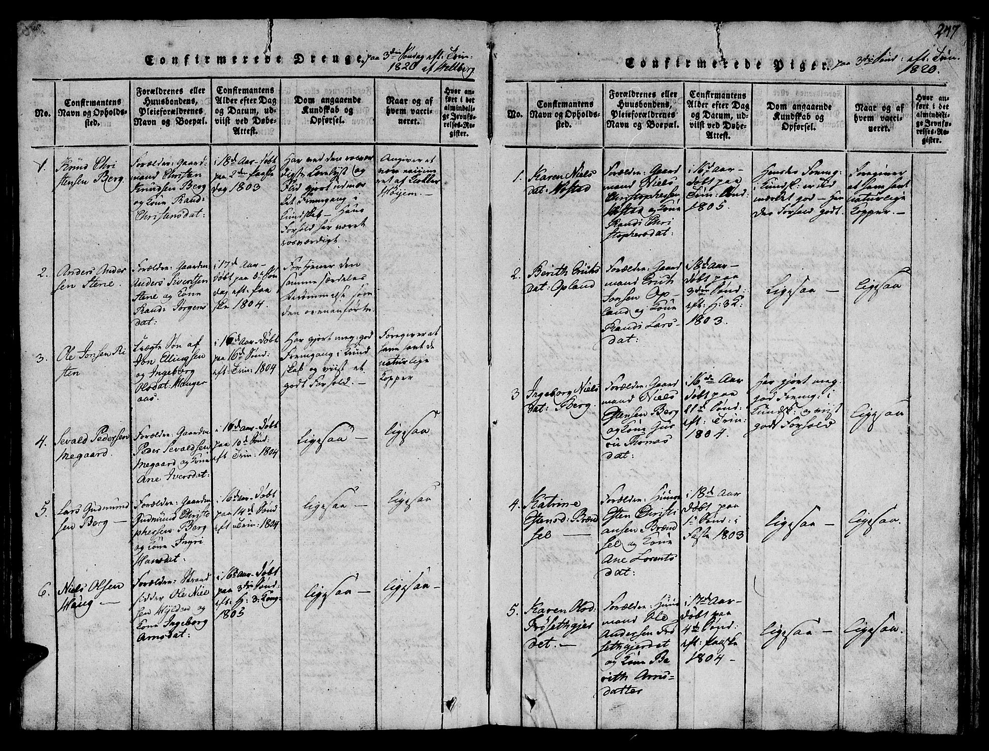 Ministerialprotokoller, klokkerbøker og fødselsregistre - Sør-Trøndelag, AV/SAT-A-1456/612/L0372: Ministerialbok nr. 612A06 /1, 1816-1828, s. 247