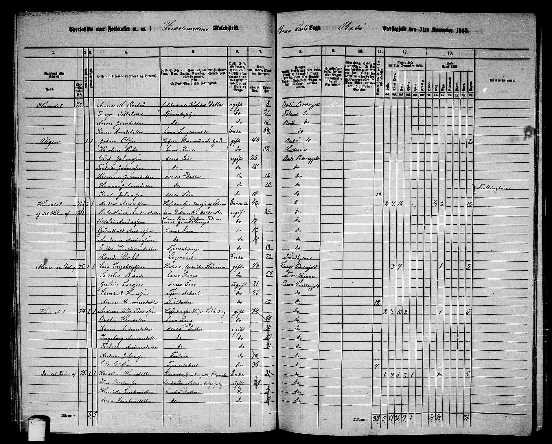 RA, Folketelling 1865 for 1843L Bodø prestegjeld, Bodø landsokn, 1865, s. 53