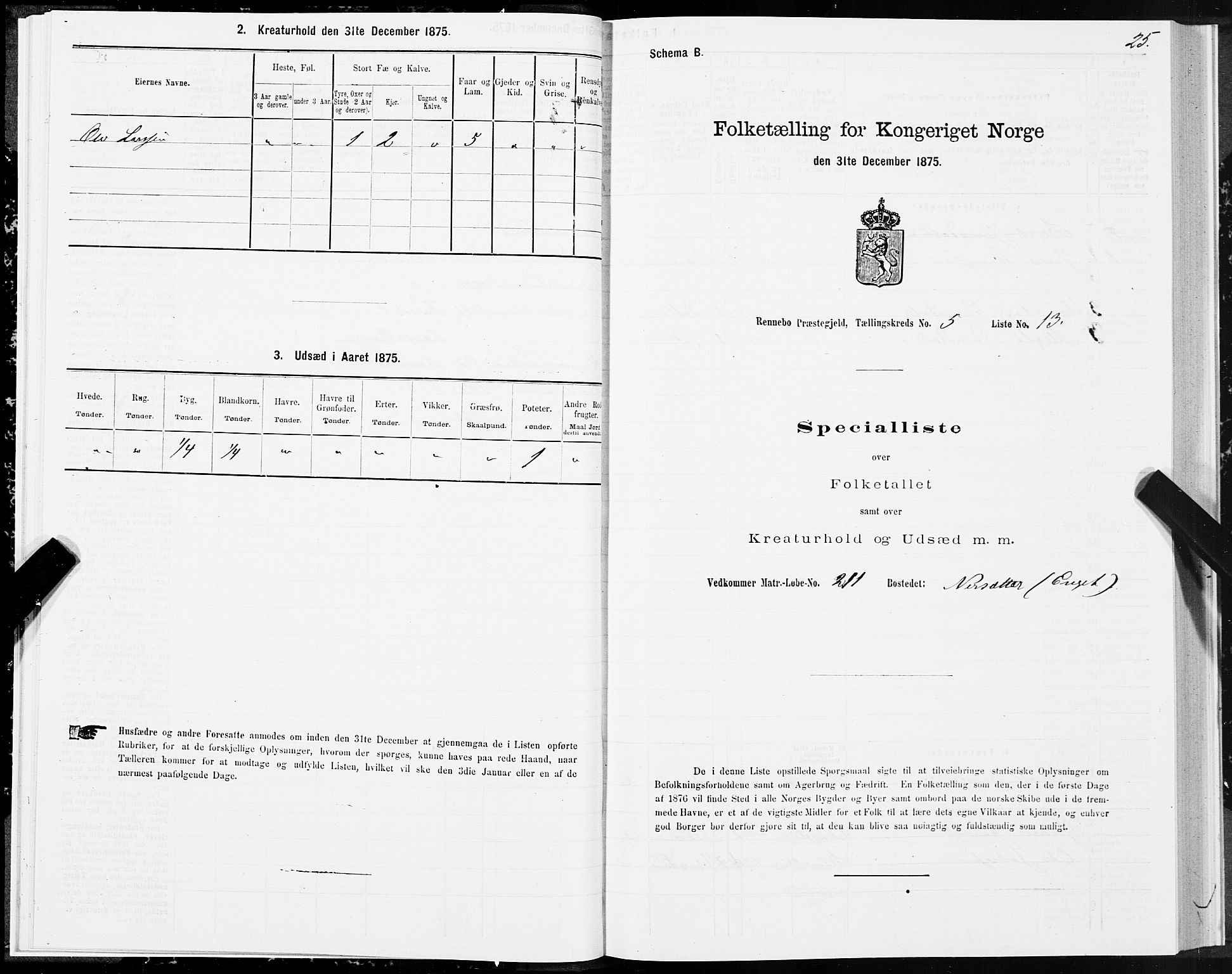 SAT, Folketelling 1875 for 1635P Rennebu prestegjeld, 1875, s. 3025