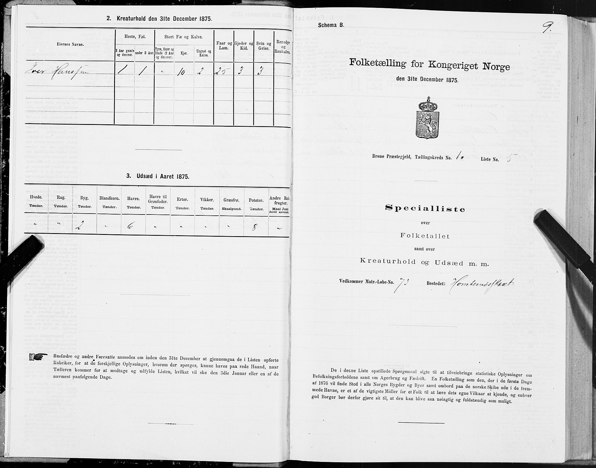 SAT, Folketelling 1875 for 1814P Brønnøy prestegjeld, 1875, s. 1009