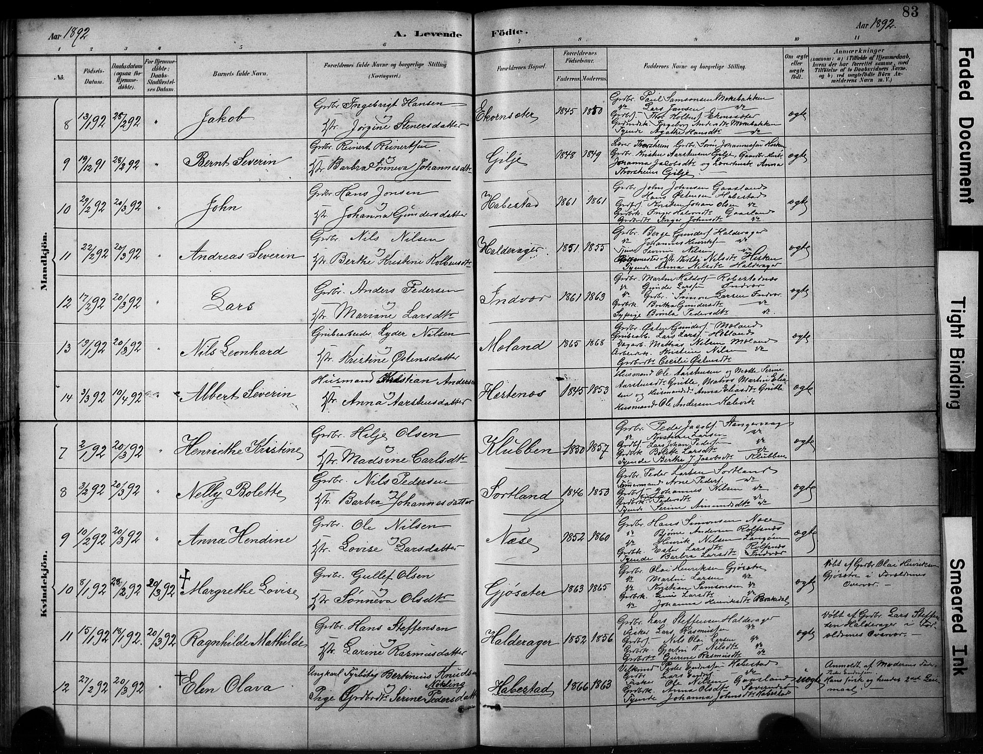 Finnås sokneprestembete, AV/SAB-A-99925/H/Ha/Hab/Habb/L0003: Klokkerbok nr. B 3, 1882-1897, s. 83