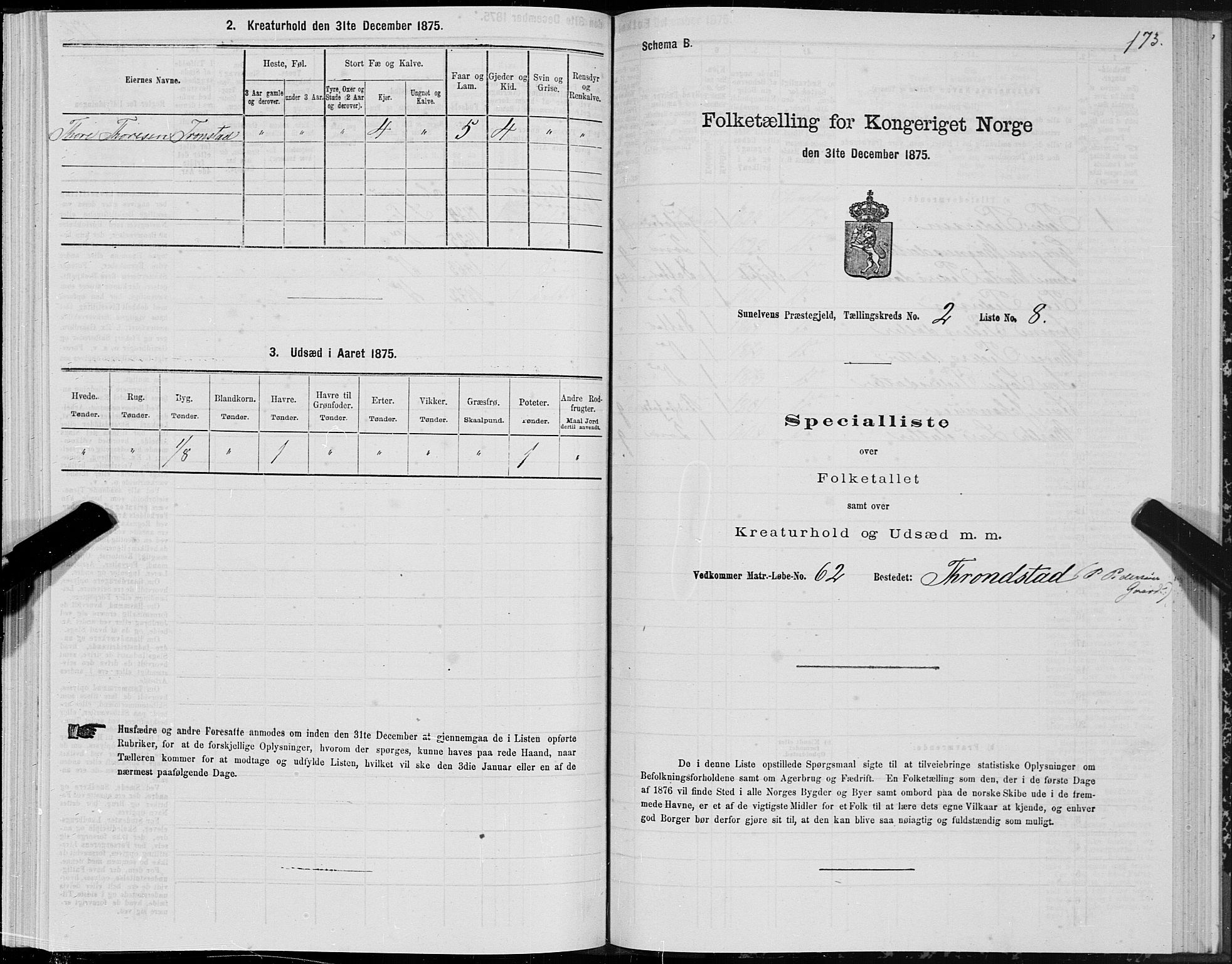 SAT, Folketelling 1875 for 1523P Sunnylven prestegjeld, 1875, s. 1173