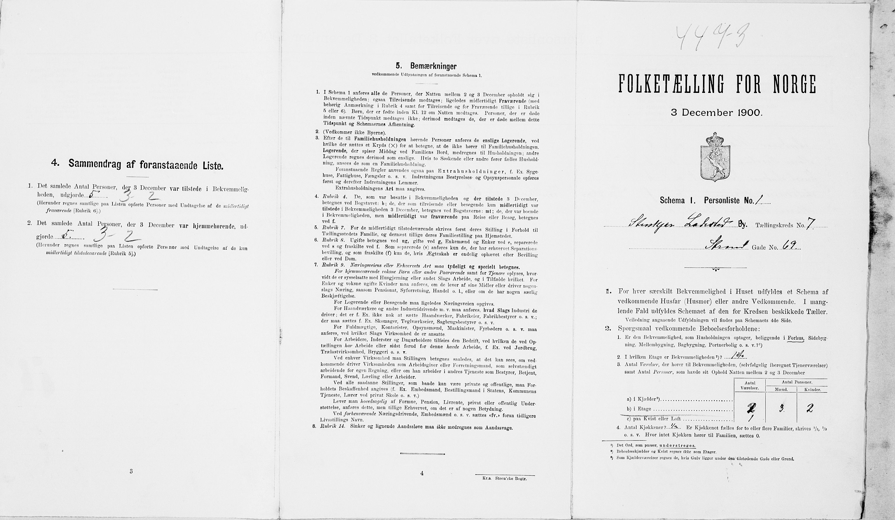 SAT, Folketelling 1900 for 1702 Steinkjer ladested, 1900, s. 817