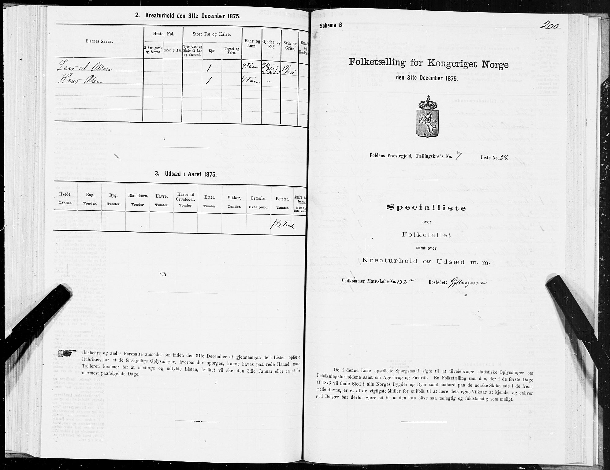 SAT, Folketelling 1875 for 1845P Folda prestegjeld, 1875, s. 2200