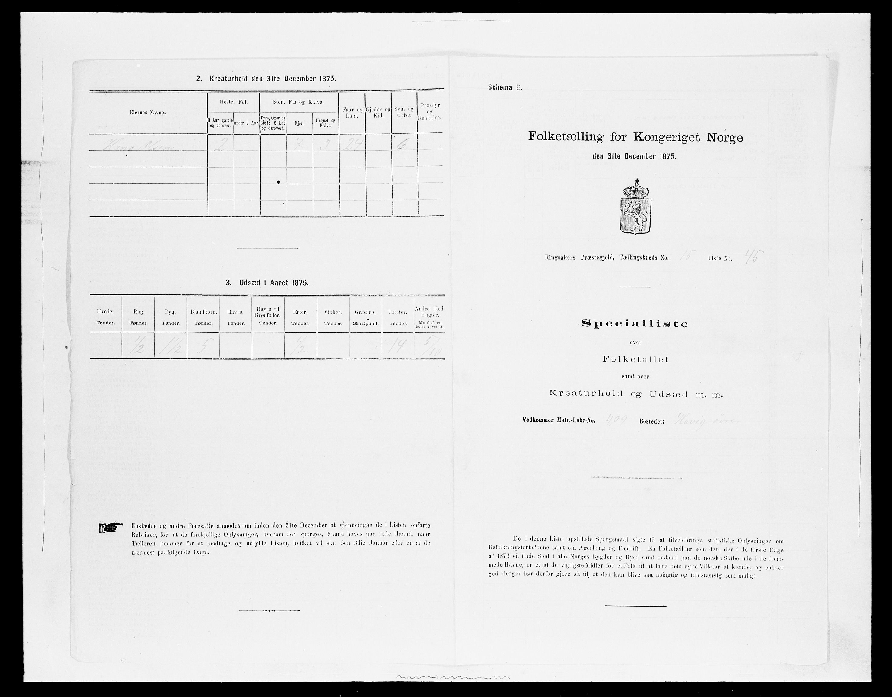 SAH, Folketelling 1875 for 0412P Ringsaker prestegjeld, 1875, s. 3233