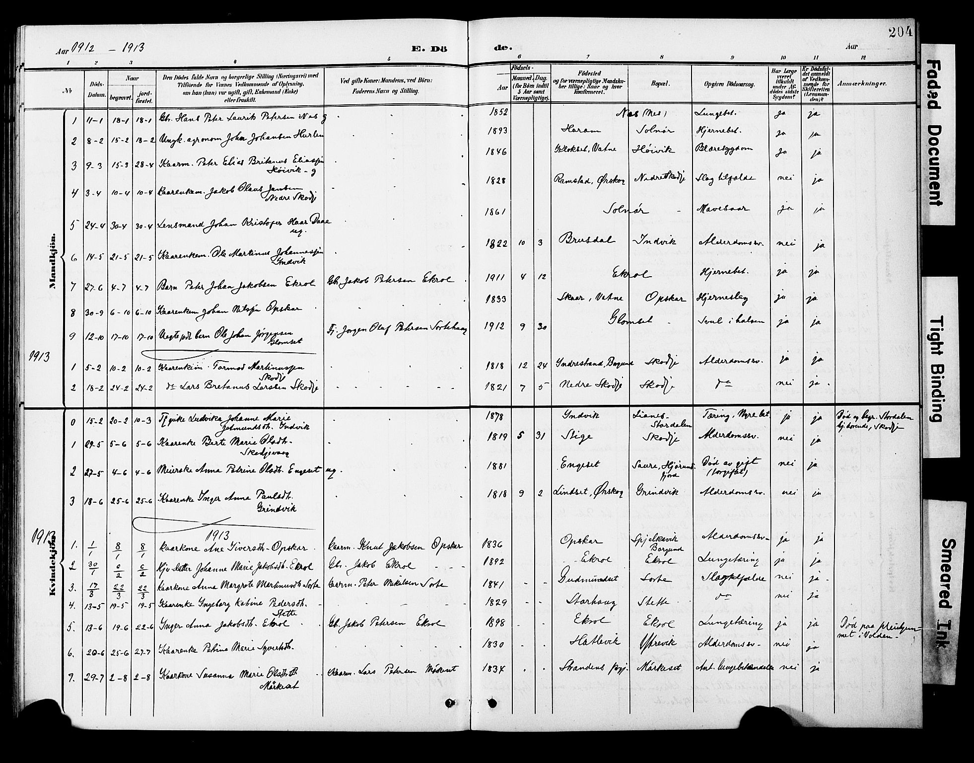 Ministerialprotokoller, klokkerbøker og fødselsregistre - Møre og Romsdal, SAT/A-1454/524/L0366: Klokkerbok nr. 524C07, 1900-1931, s. 204