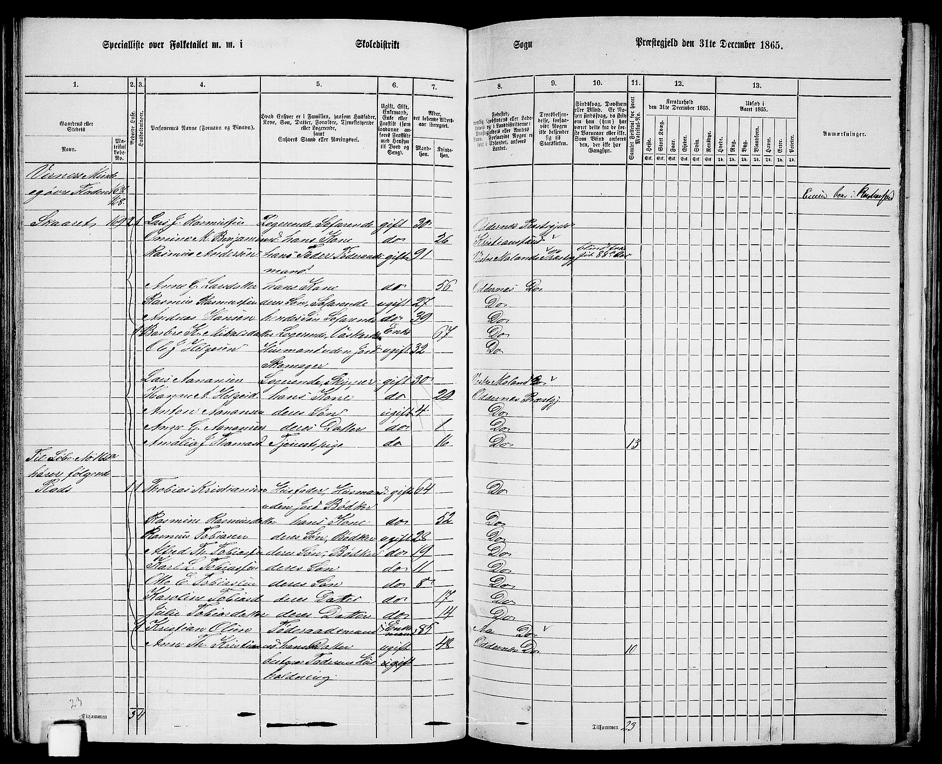 RA, Folketelling 1865 for 1012P Oddernes prestegjeld, 1865, s. 93