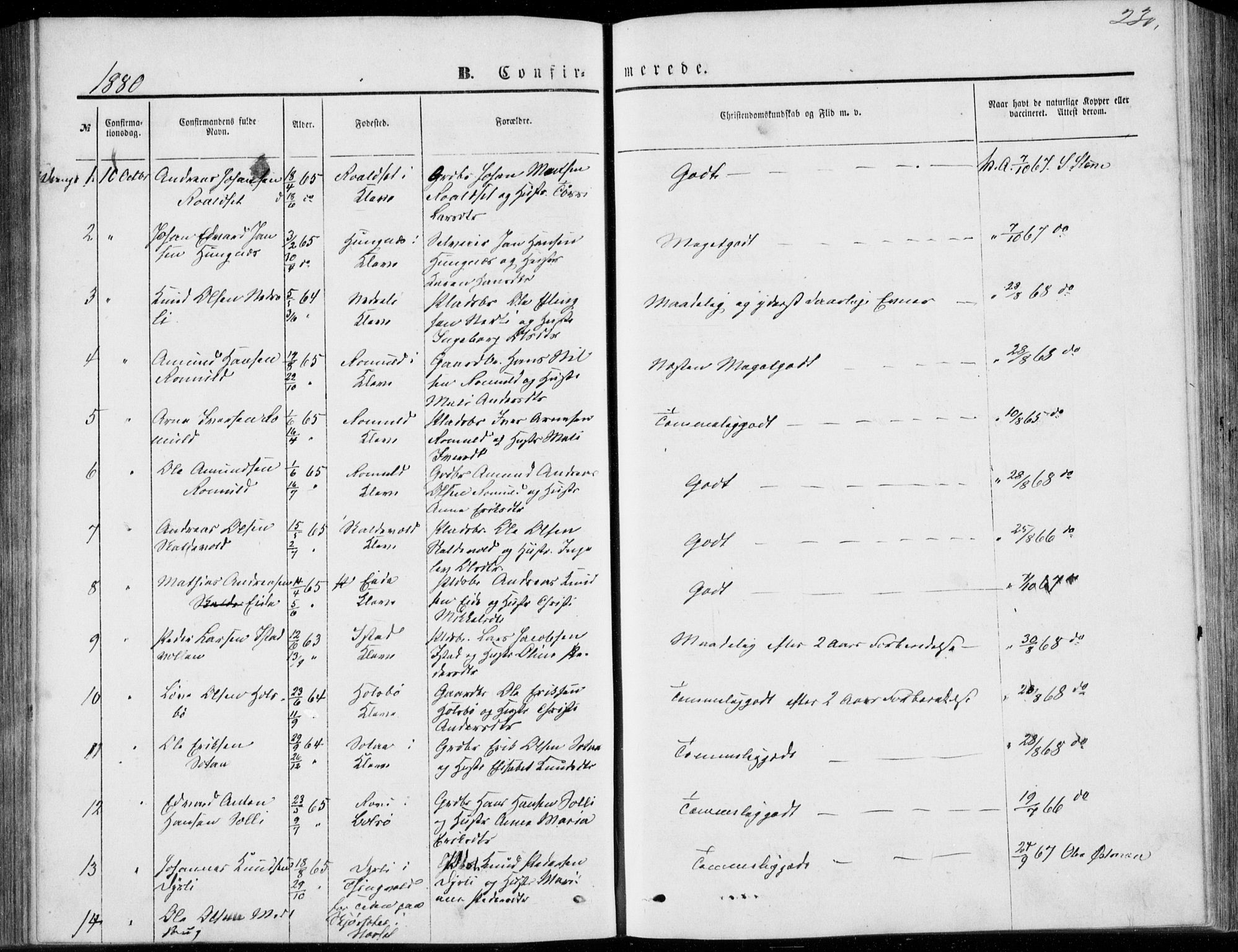 Ministerialprotokoller, klokkerbøker og fødselsregistre - Møre og Romsdal, AV/SAT-A-1454/557/L0681: Ministerialbok nr. 557A03, 1869-1886, s. 230