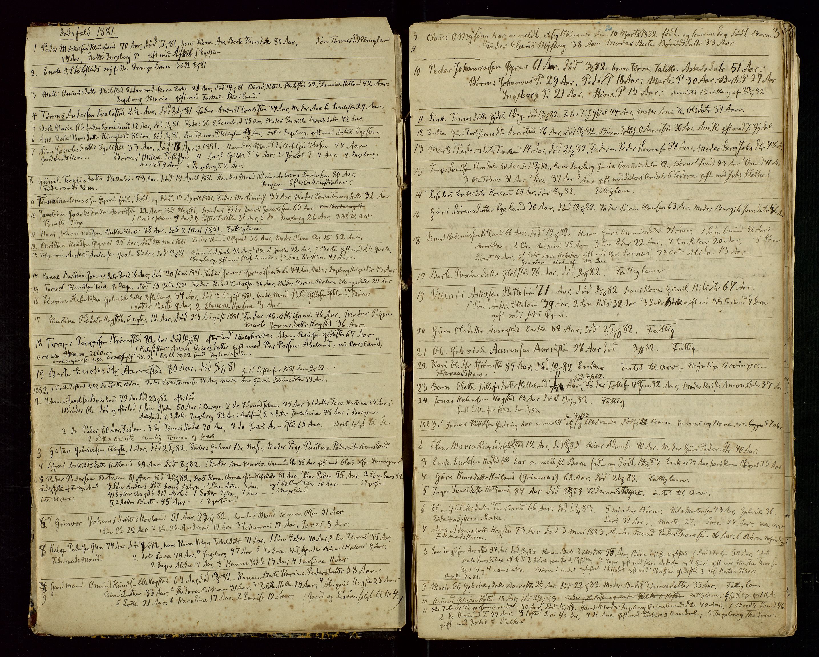Helleland lensmannskontor, AV/SAST-A-100209/Ya/L0005: "Dagbog", 1880-1899, s. 2-3